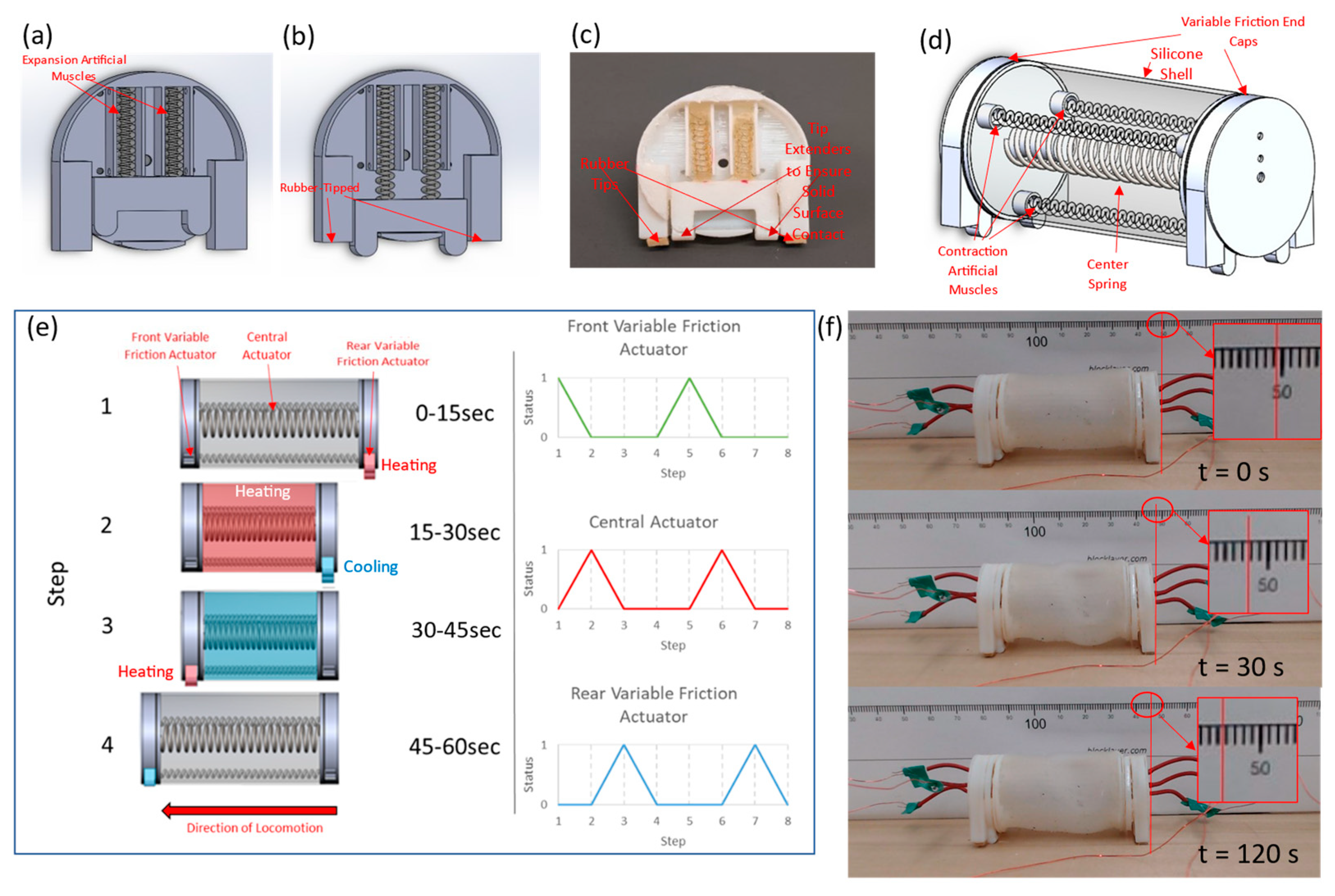 Bubble casting soft robotics