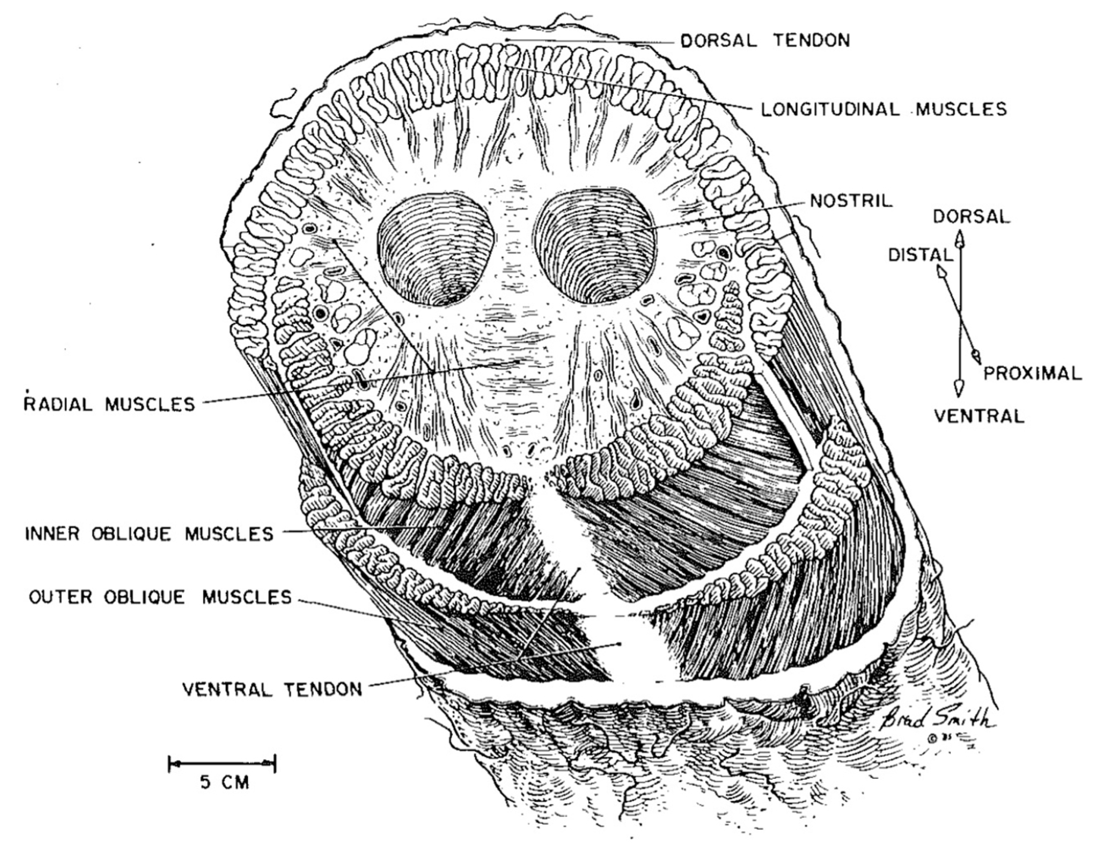 Actuators 13 00052 g011