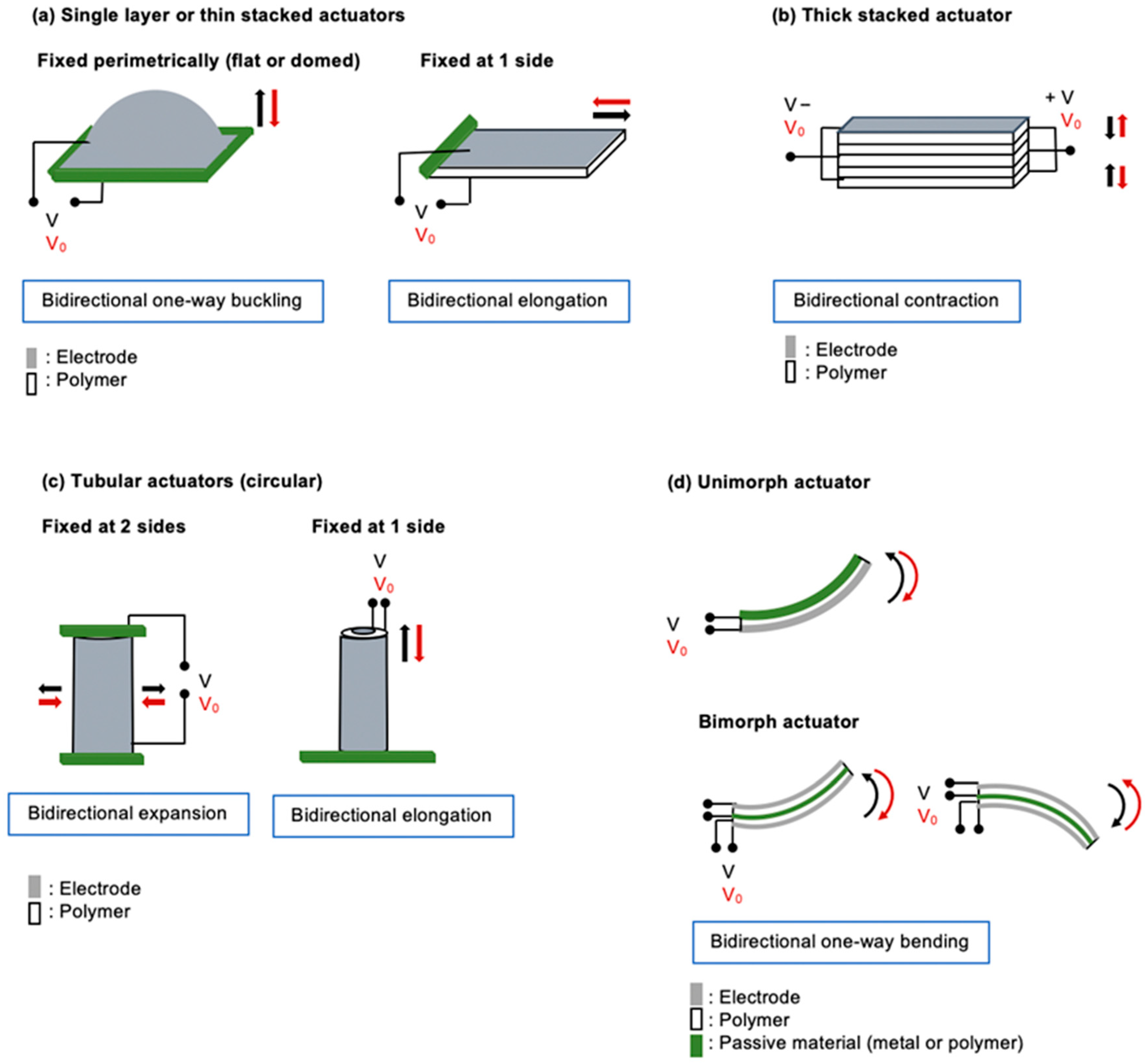 Actuators 13 00232 g011