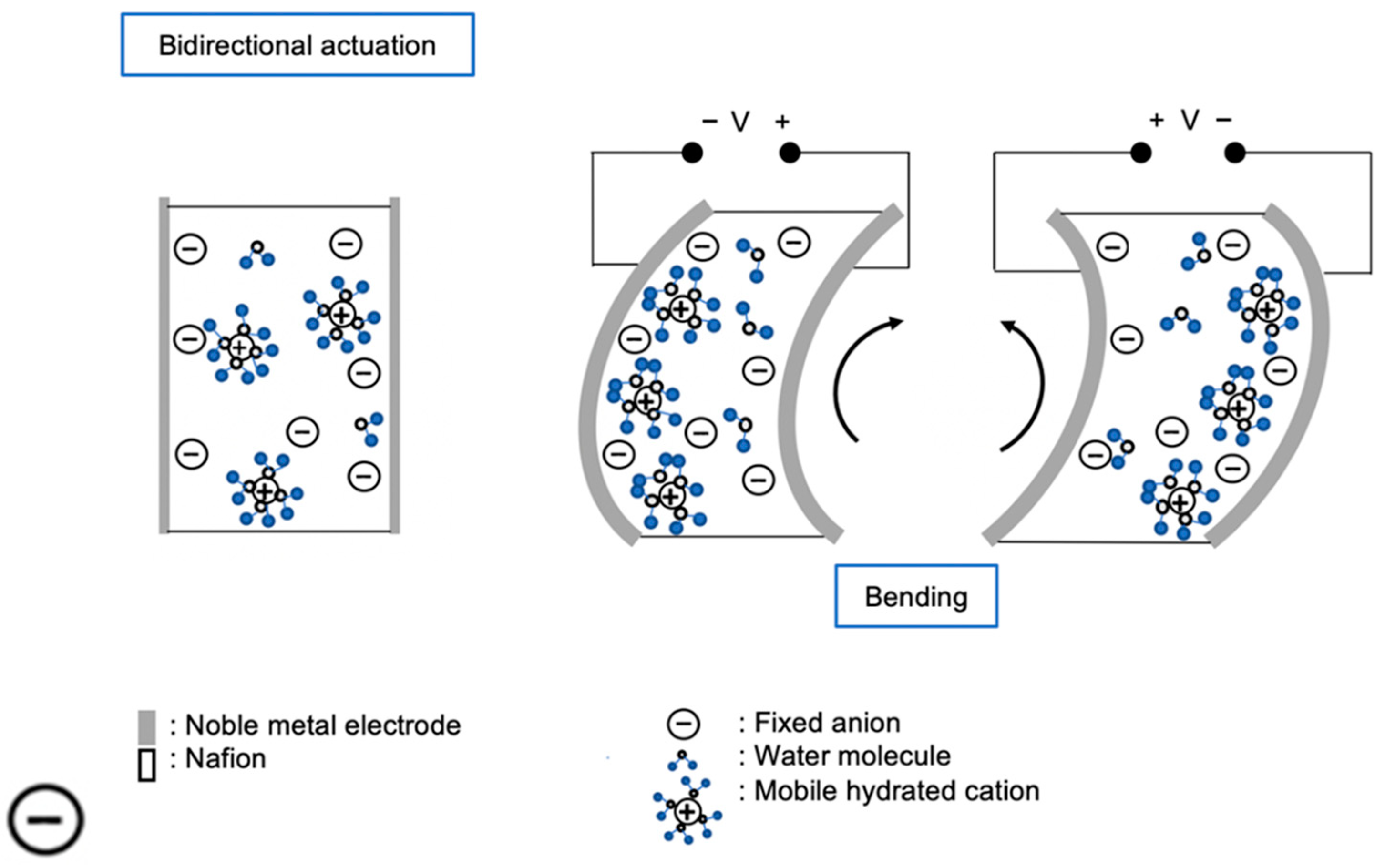 Actuators 13 00232 g012