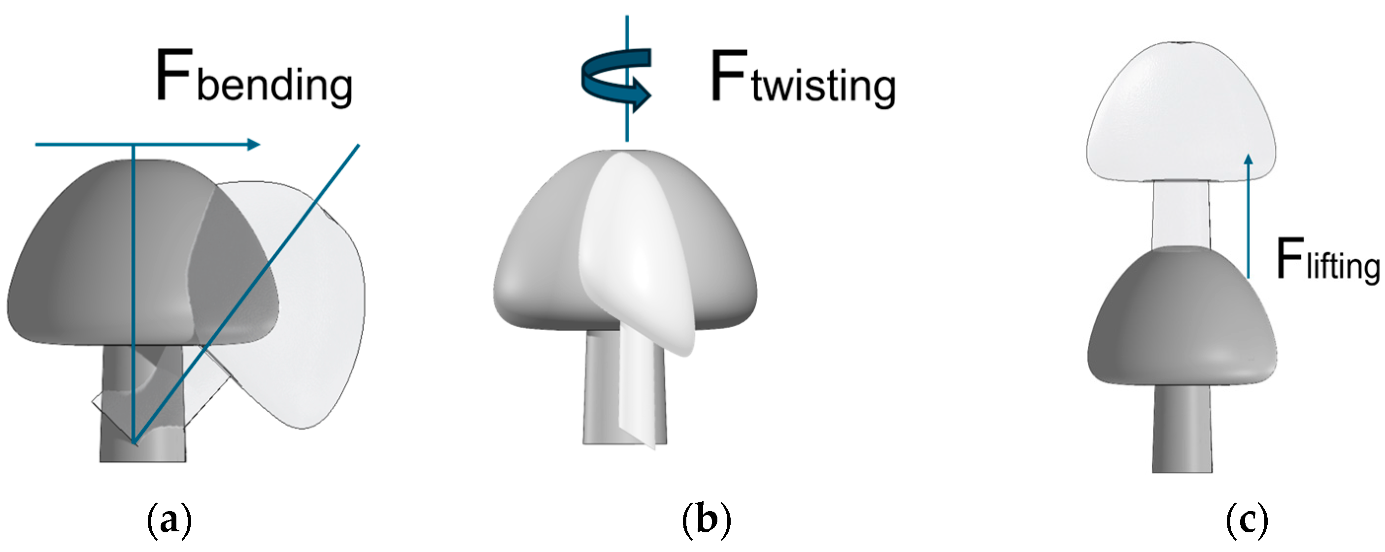 Actuators 13 00287 g002