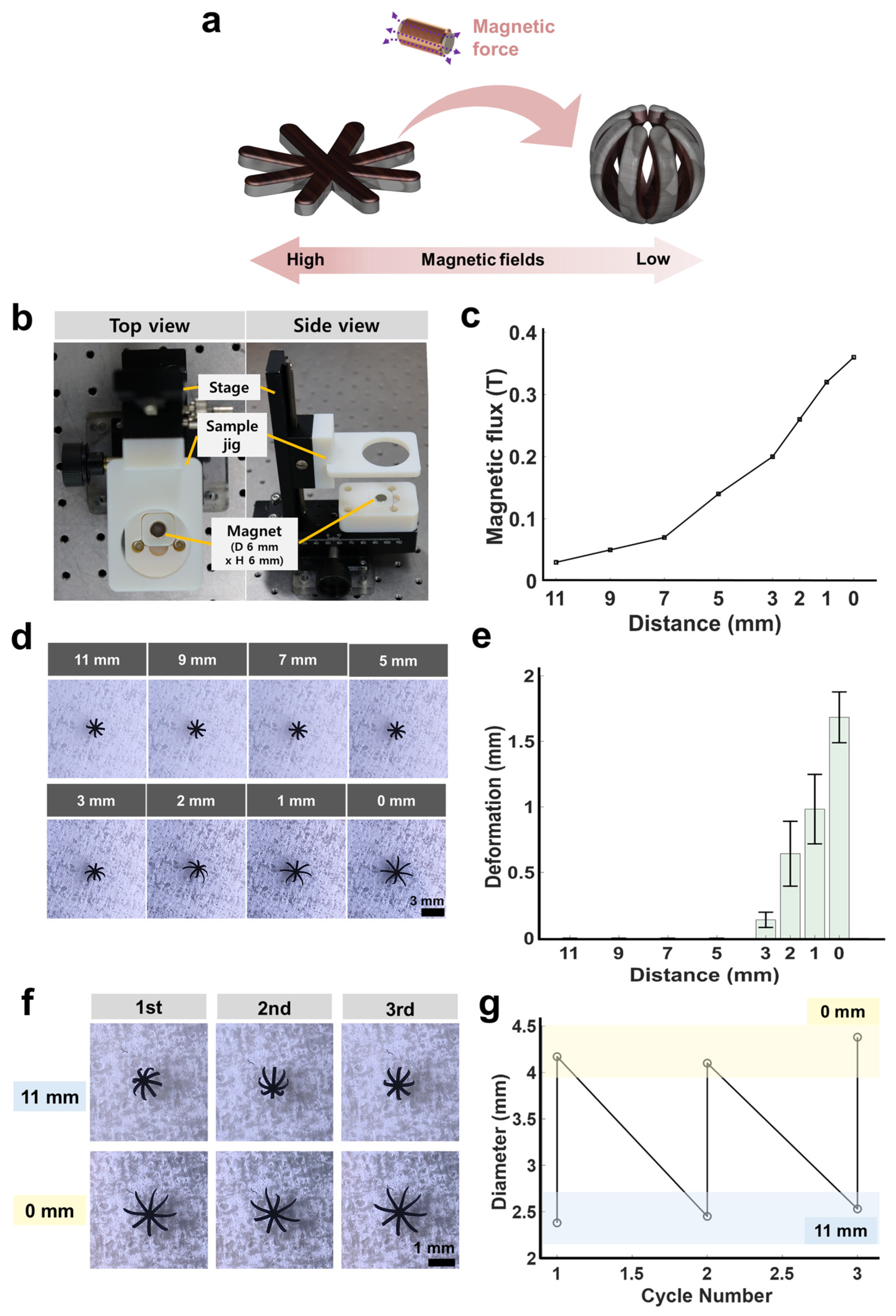 Actuators 13 00341 g005