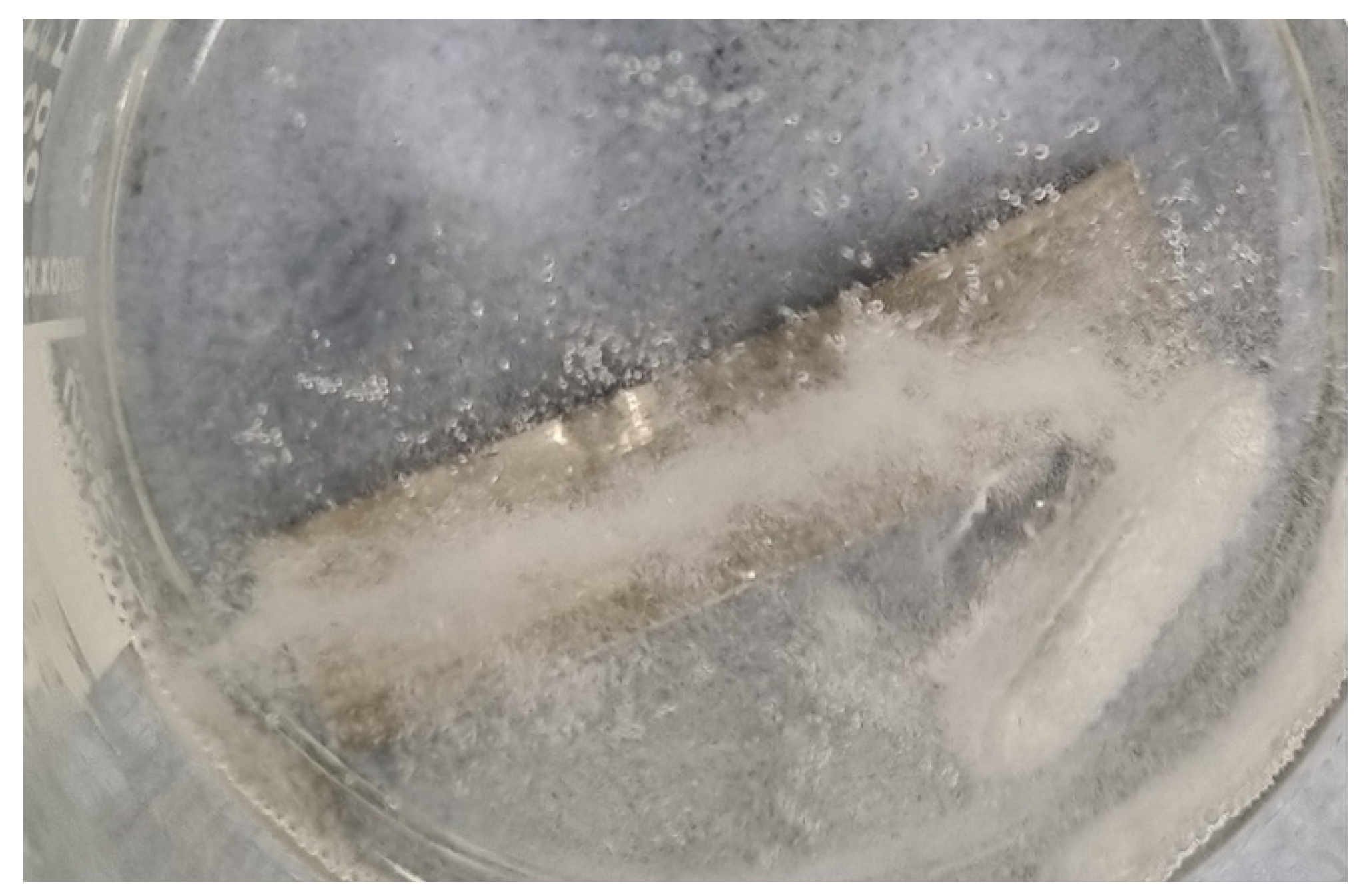 Actuators 13 00350 g009