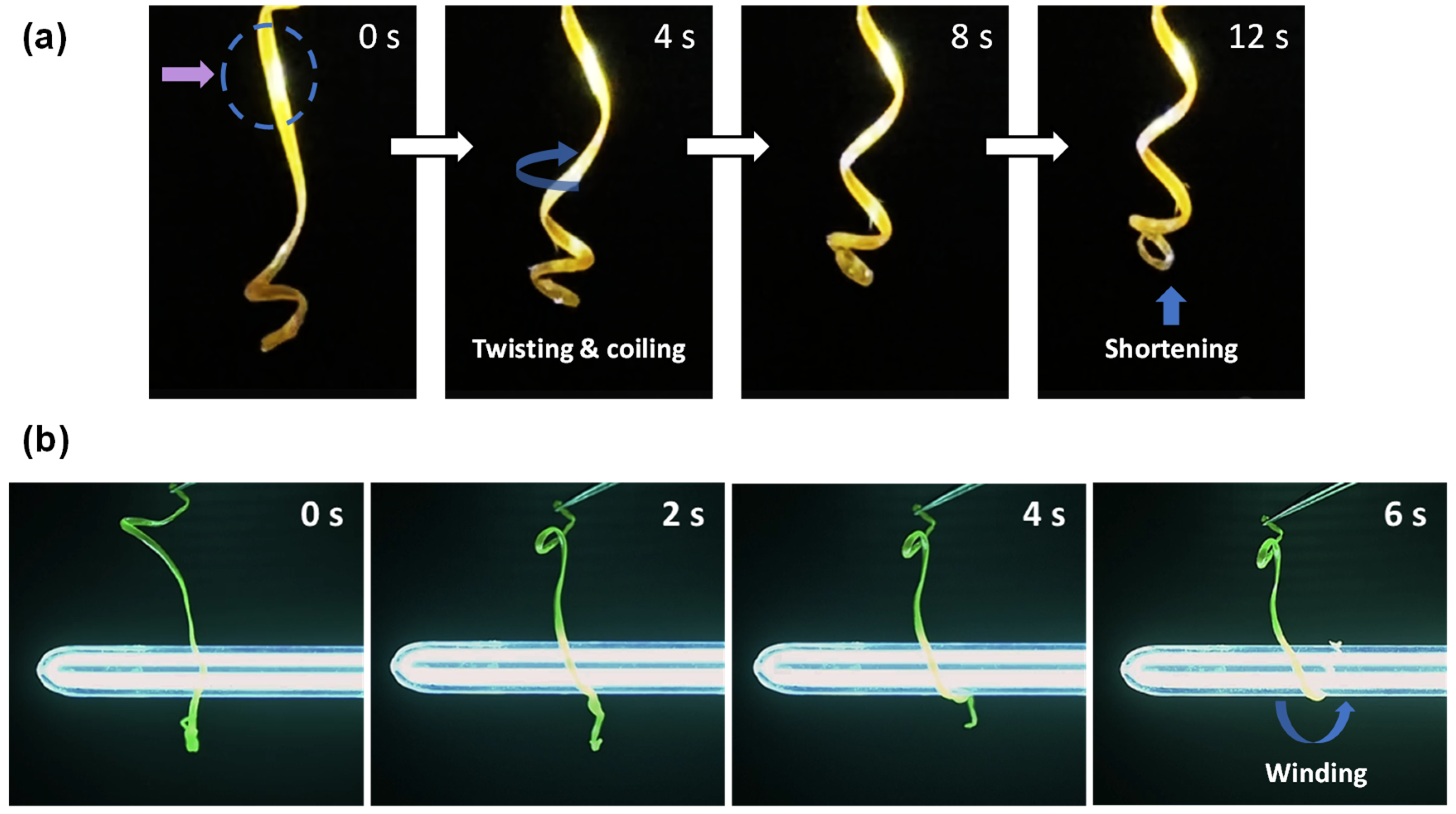 Actuators 14 00171 g005