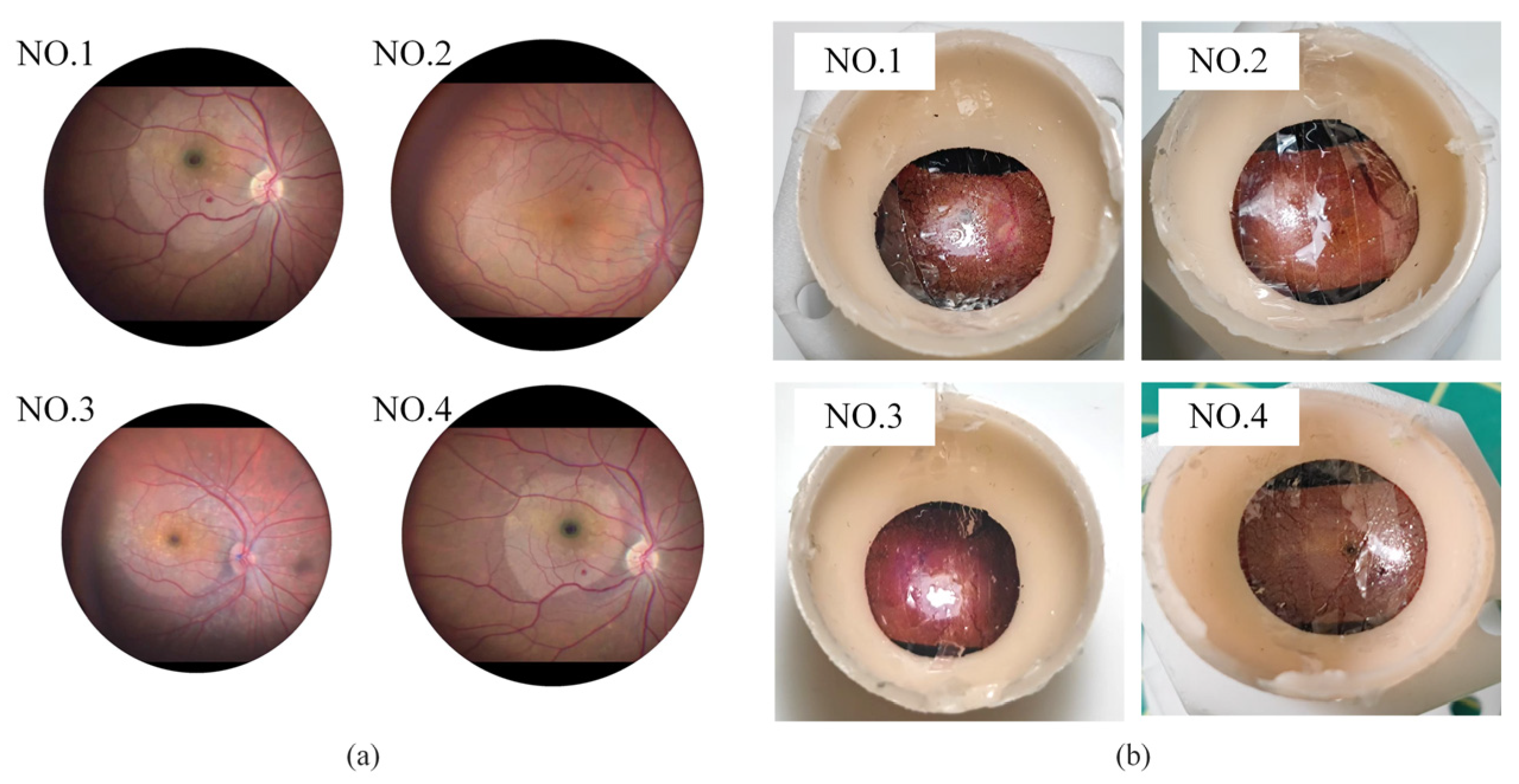 Actuators 14 00328 g008