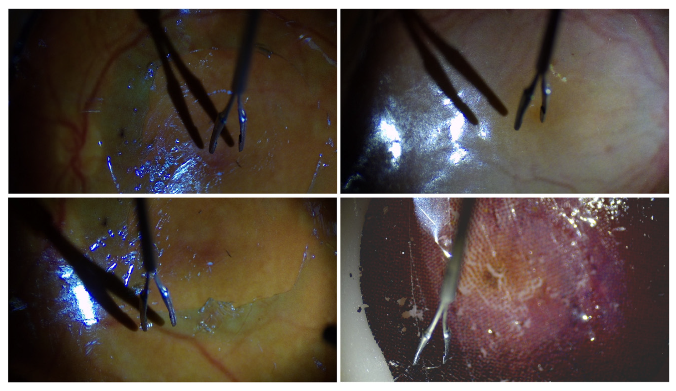 Actuators 14 00328 g009