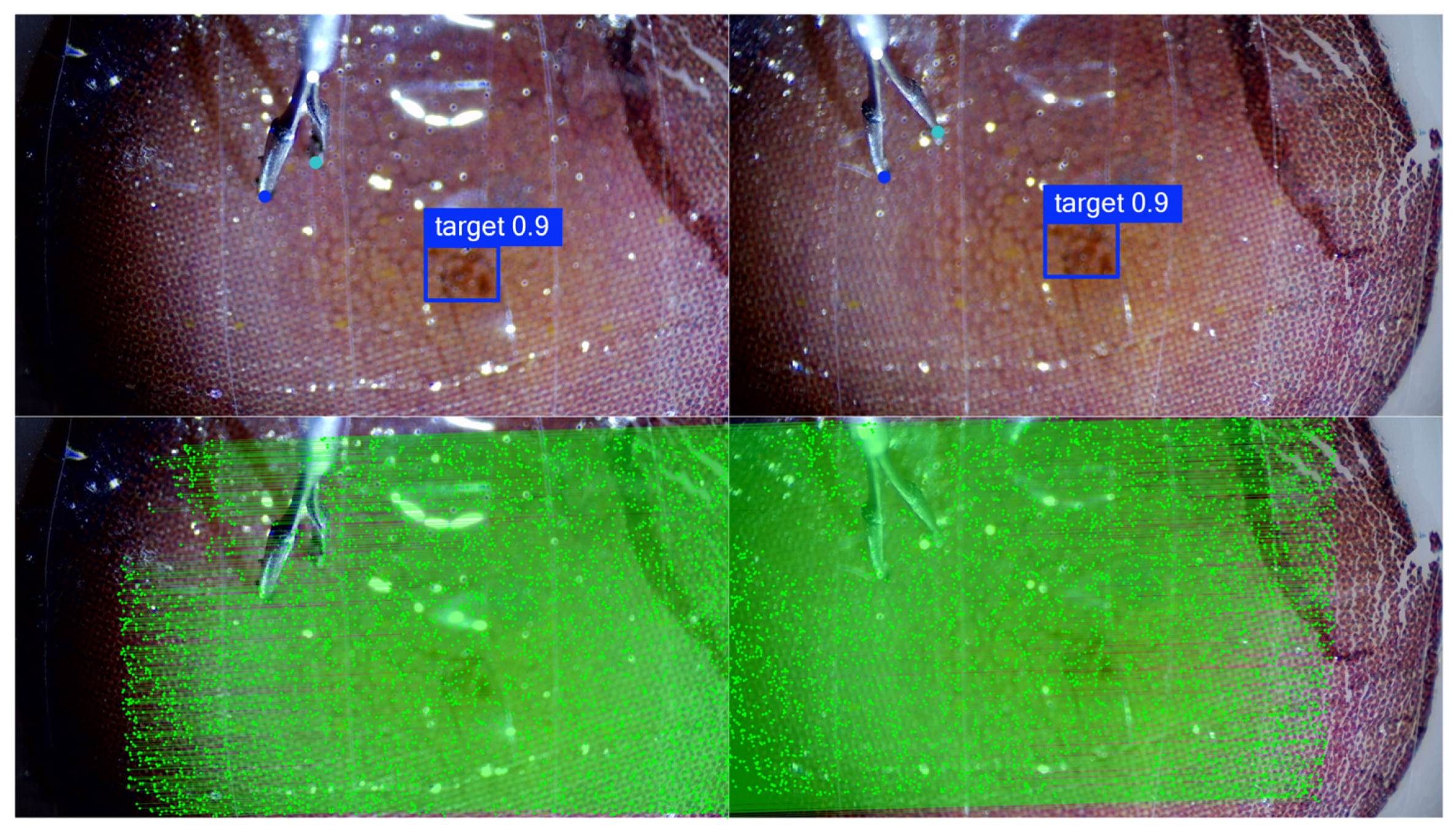 Actuators 14 00328 g011