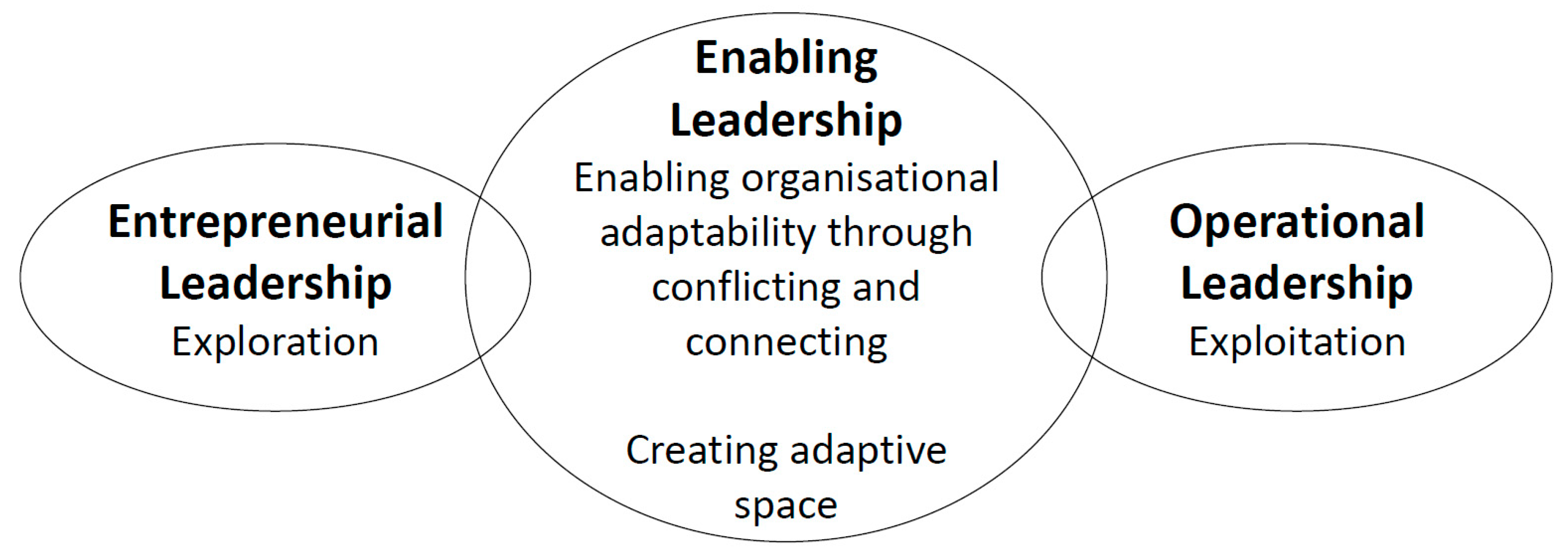Administrative Sciences | Free Full-Text | Leadership for Organisational  Adaptability: How Enabling Leaders Create Adaptive Space