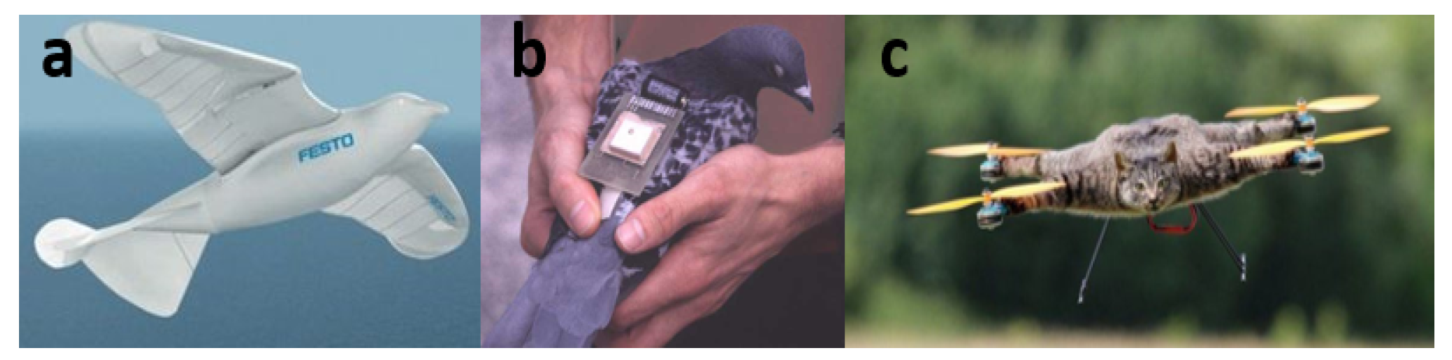 Aerospace 08 00363 g006