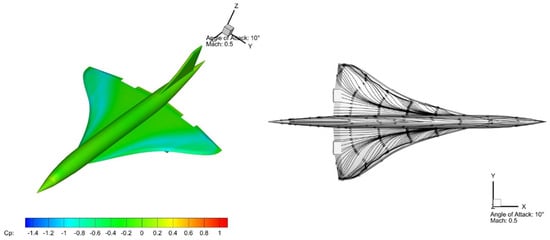 Typical boundary layer prismatic cells with mesh on the aircraft wall