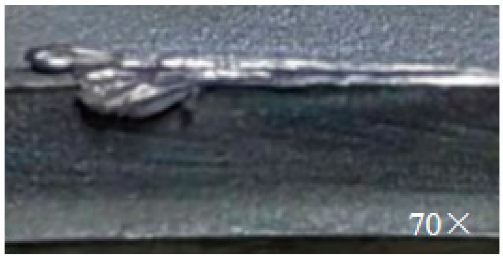 Aerospace 09 00441 g007