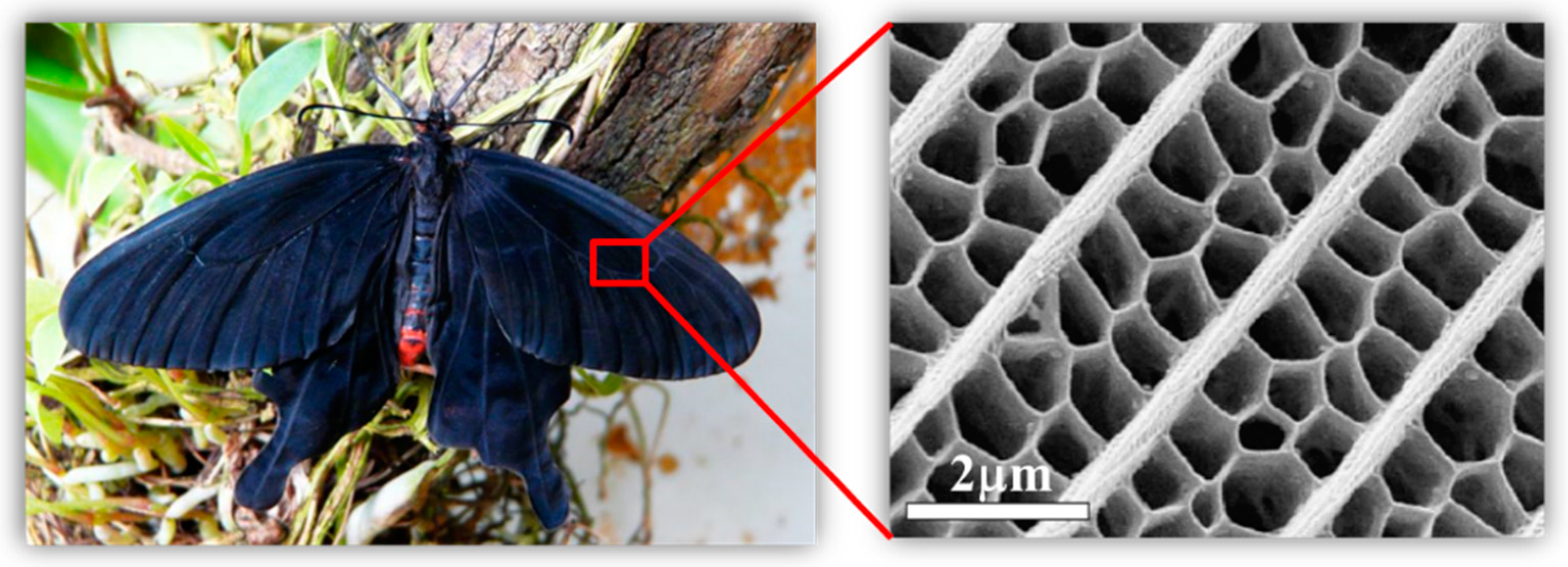 Aerospace 10 00561 g005