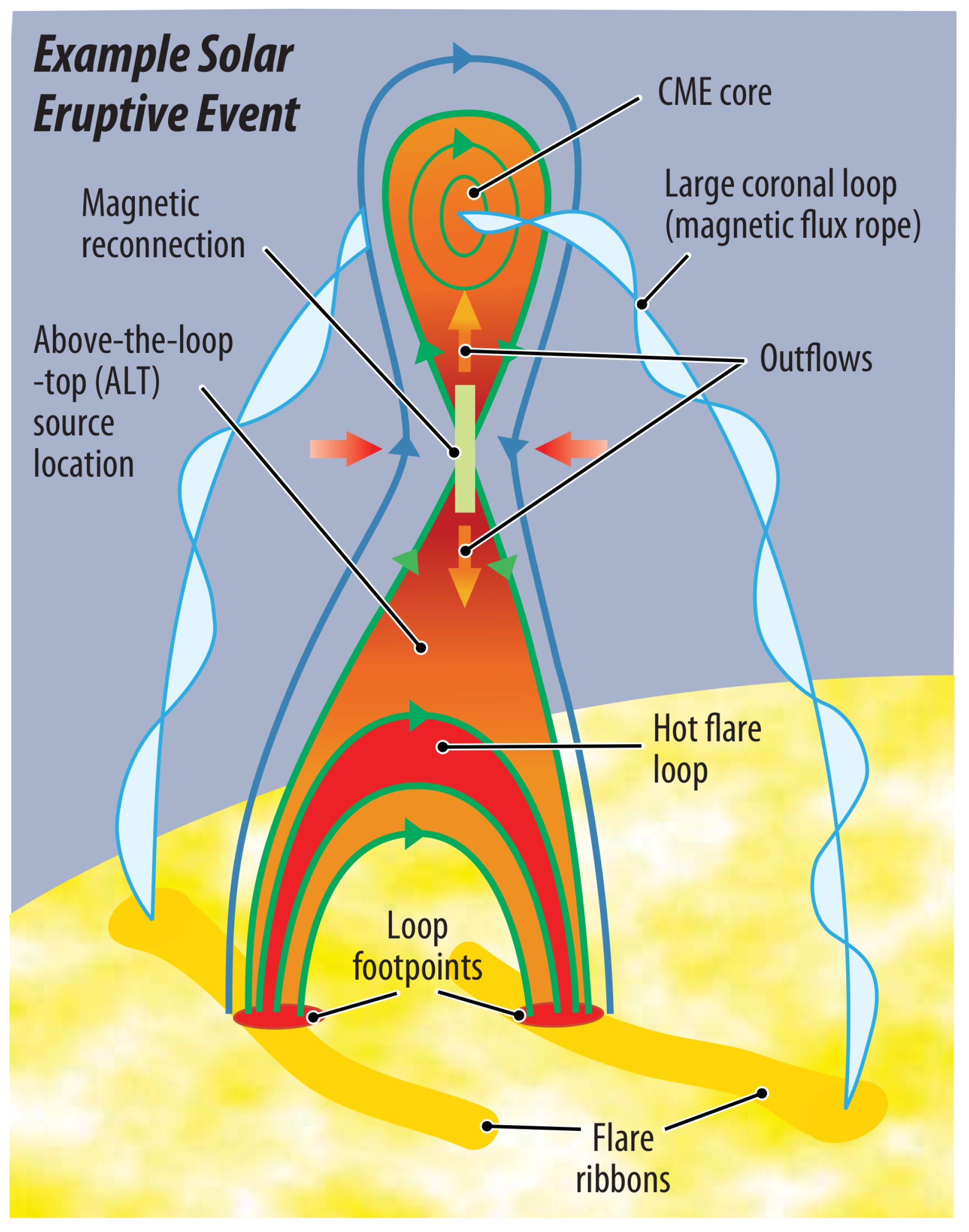 Huge Magnetic 'Ropes' Drive Powerful Sun Explosions