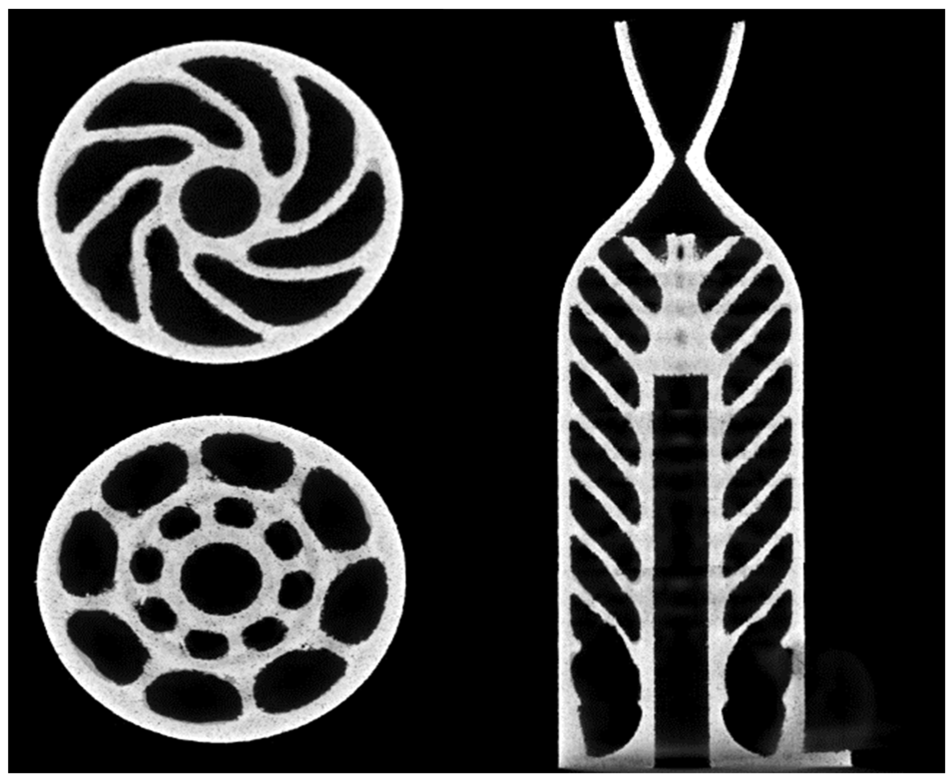 Aerospace 11 00714 g010