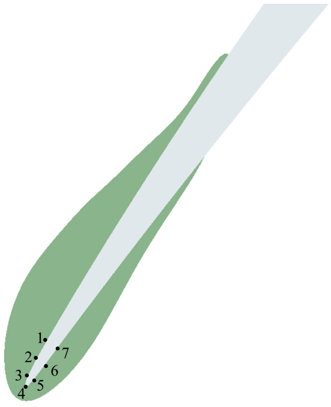 Aerospace 11 00814 g010