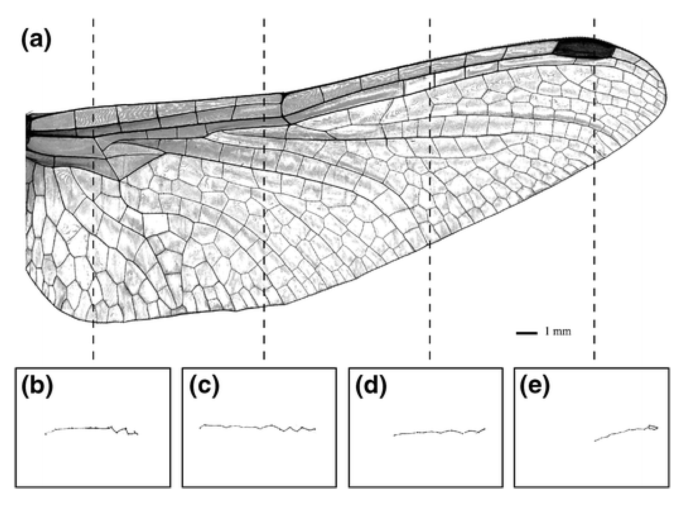 Aerospace 12 00262 g001