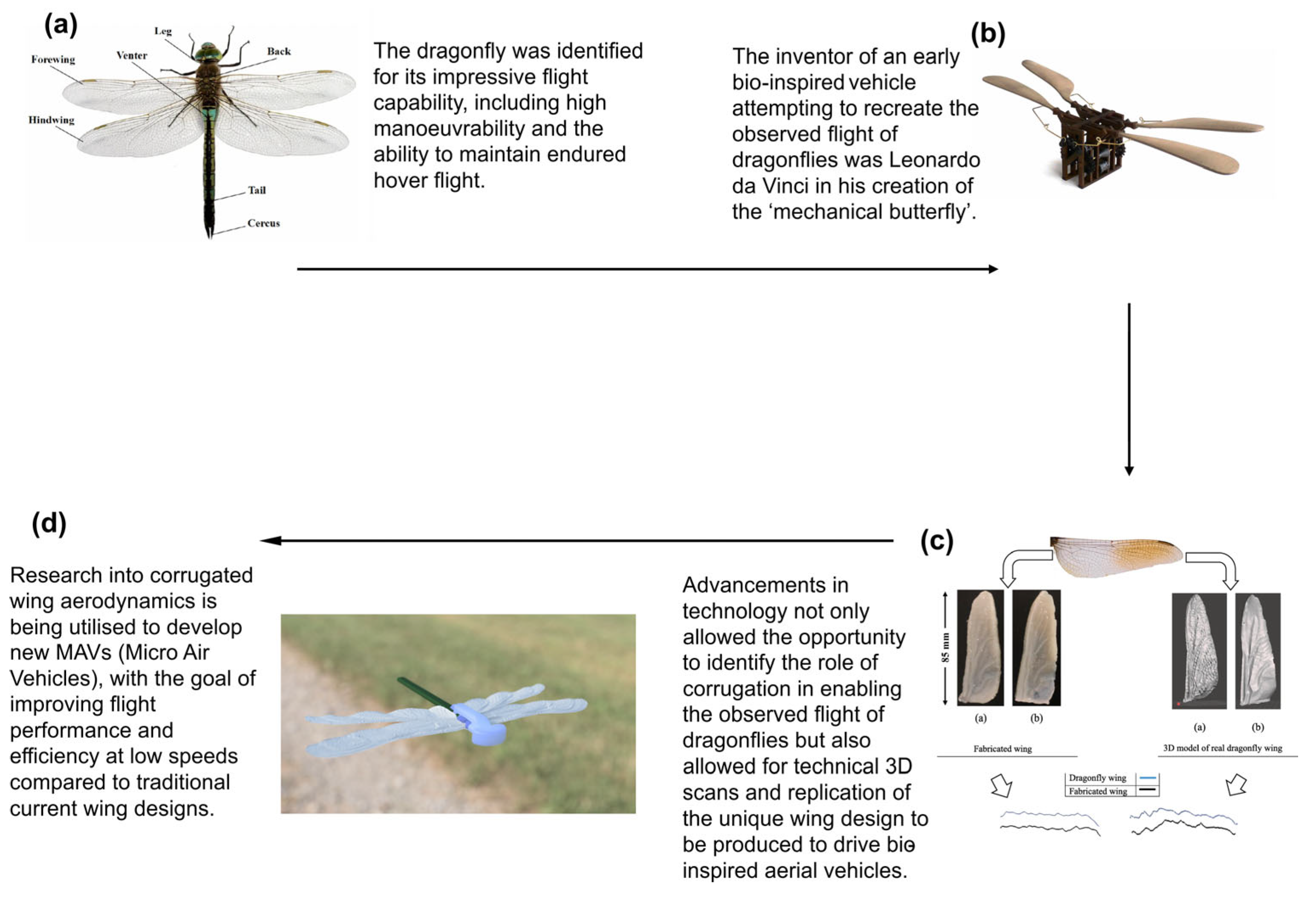 Aerospace 12 00262 g002