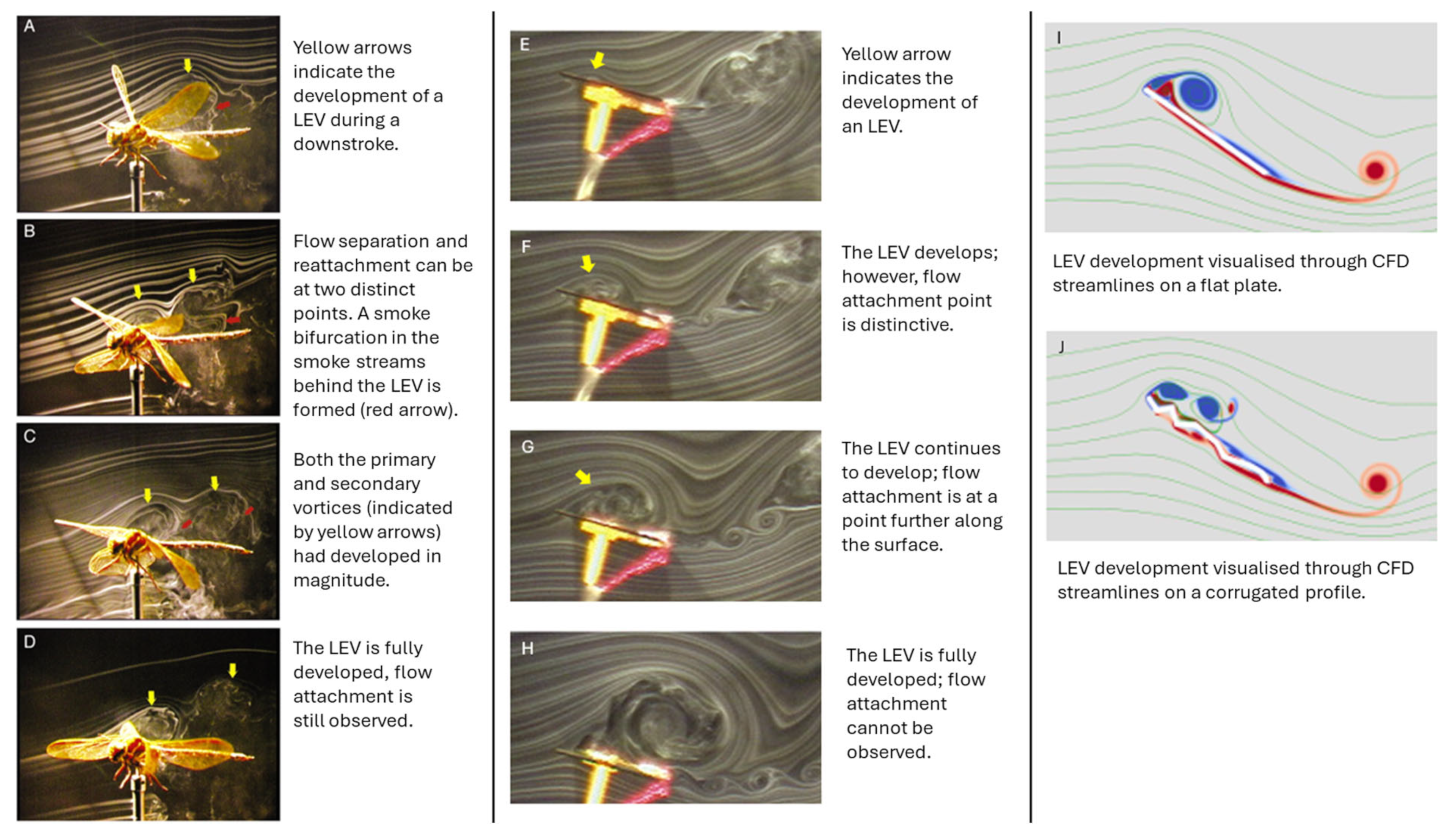 Aerospace 12 00262 g011