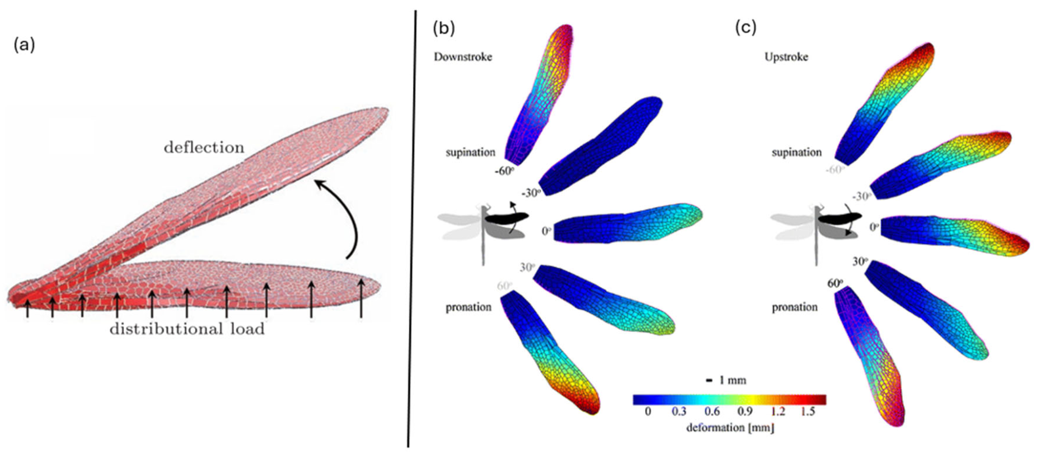 Aerospace 12 00262 g017