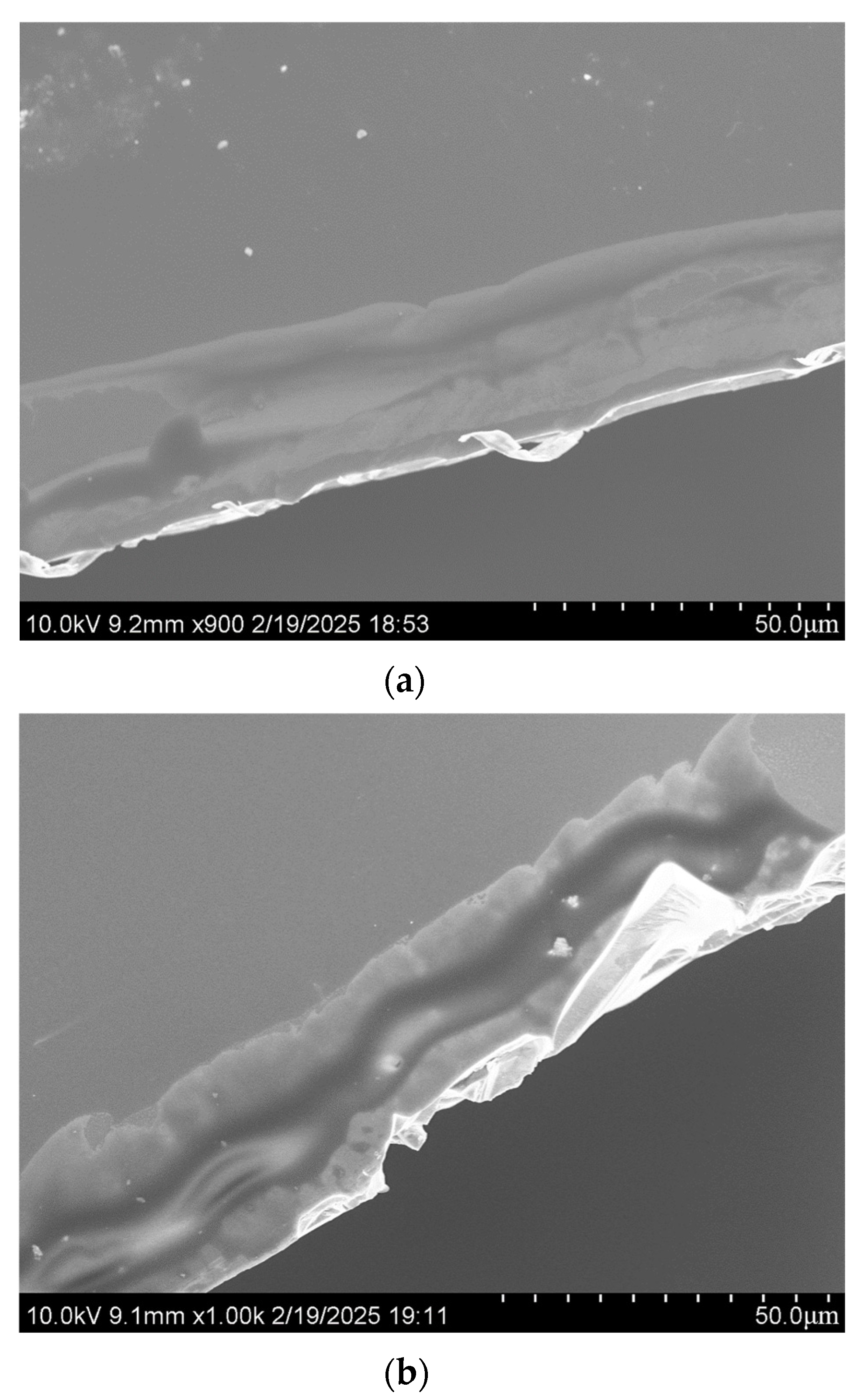 Aerospace 12 00329 g005 Aerospace 12 00329 g005
