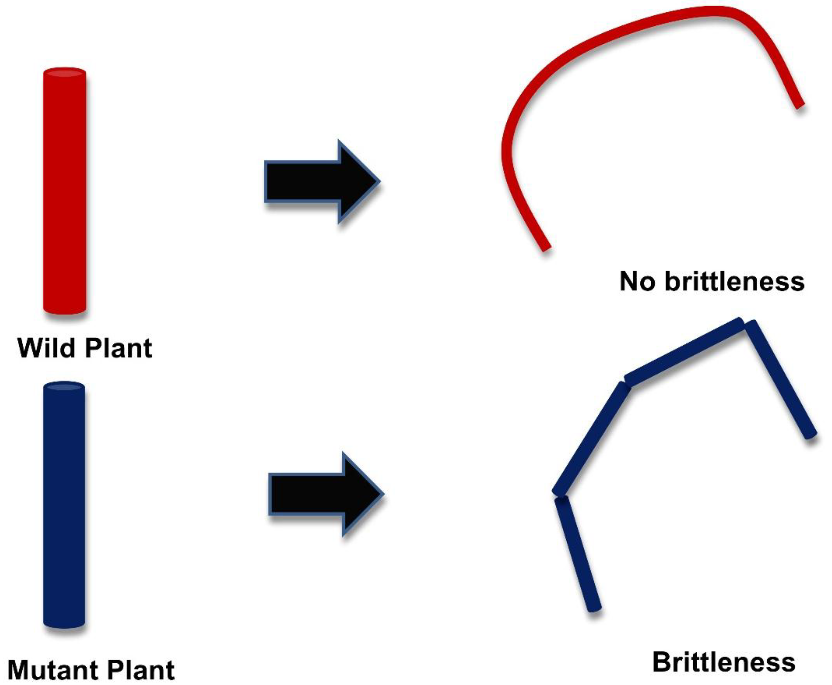 Agriculture 08 00076 g006