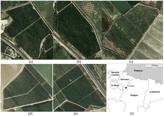 Agriculture | Free Full-Text | Sampling Stratification Using Aerial Imagery  to Estimate Fruit Load in Peach Tree Orchards | HTML
