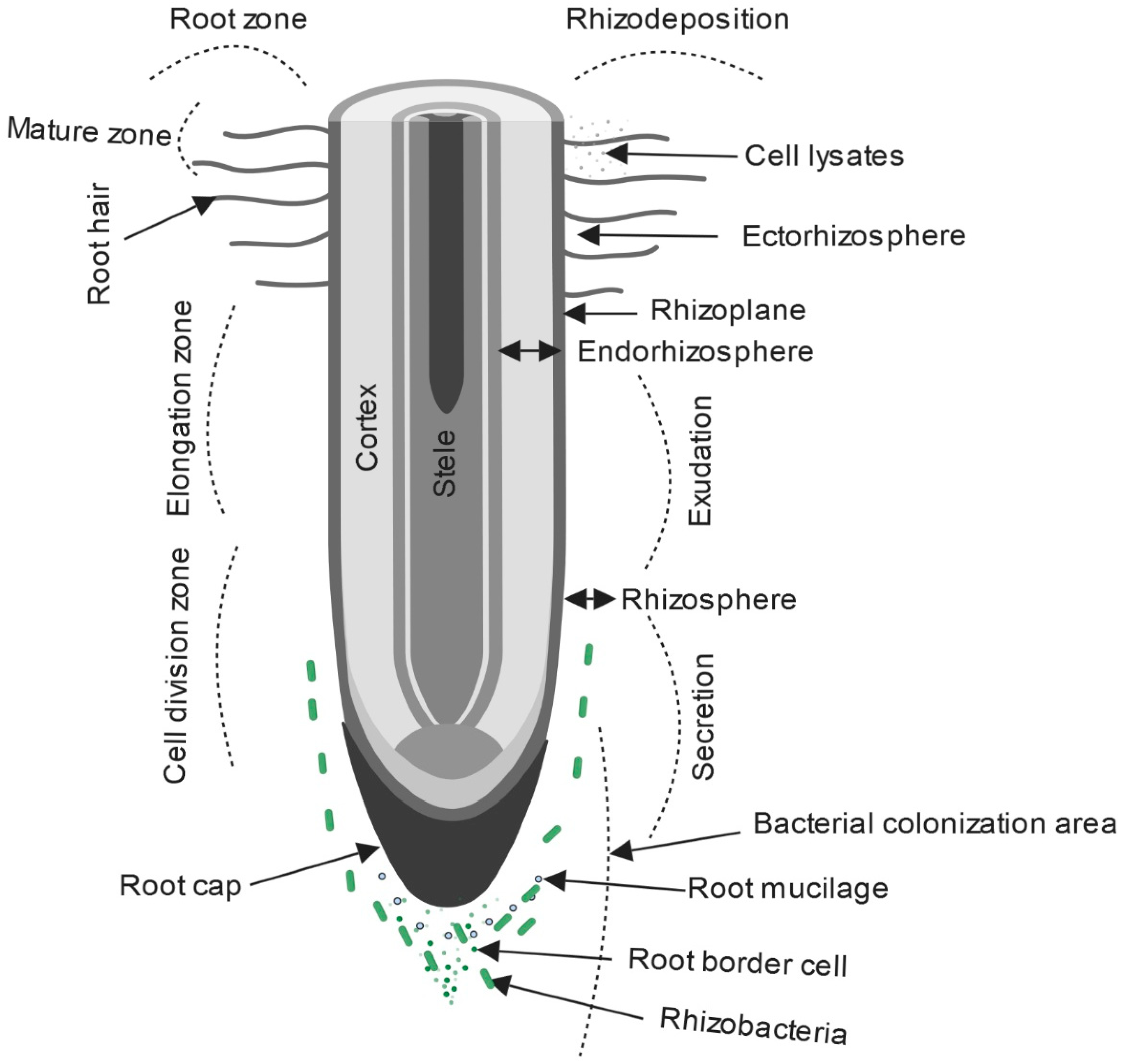 Agriculture 09 00142 g003 Agriculture 09 00142 g003