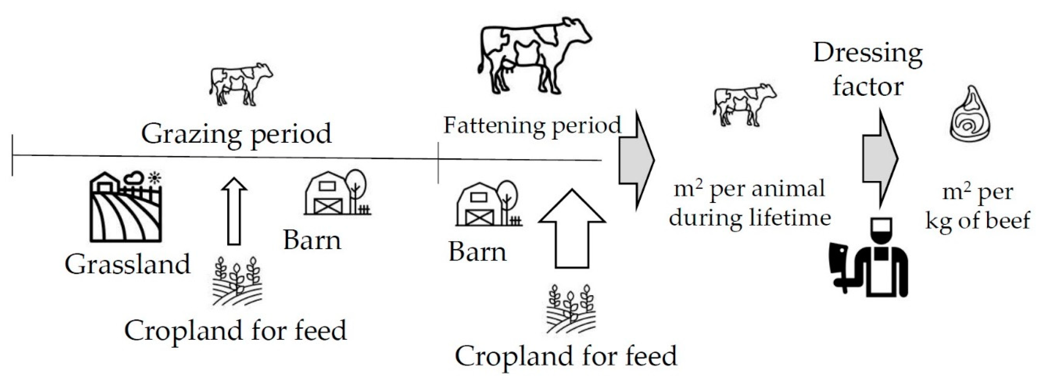 Agriculture Free Full Text Does Mexico Have Enough Land To Fulfill Future Needs For The Consumption Of Animal Products Html