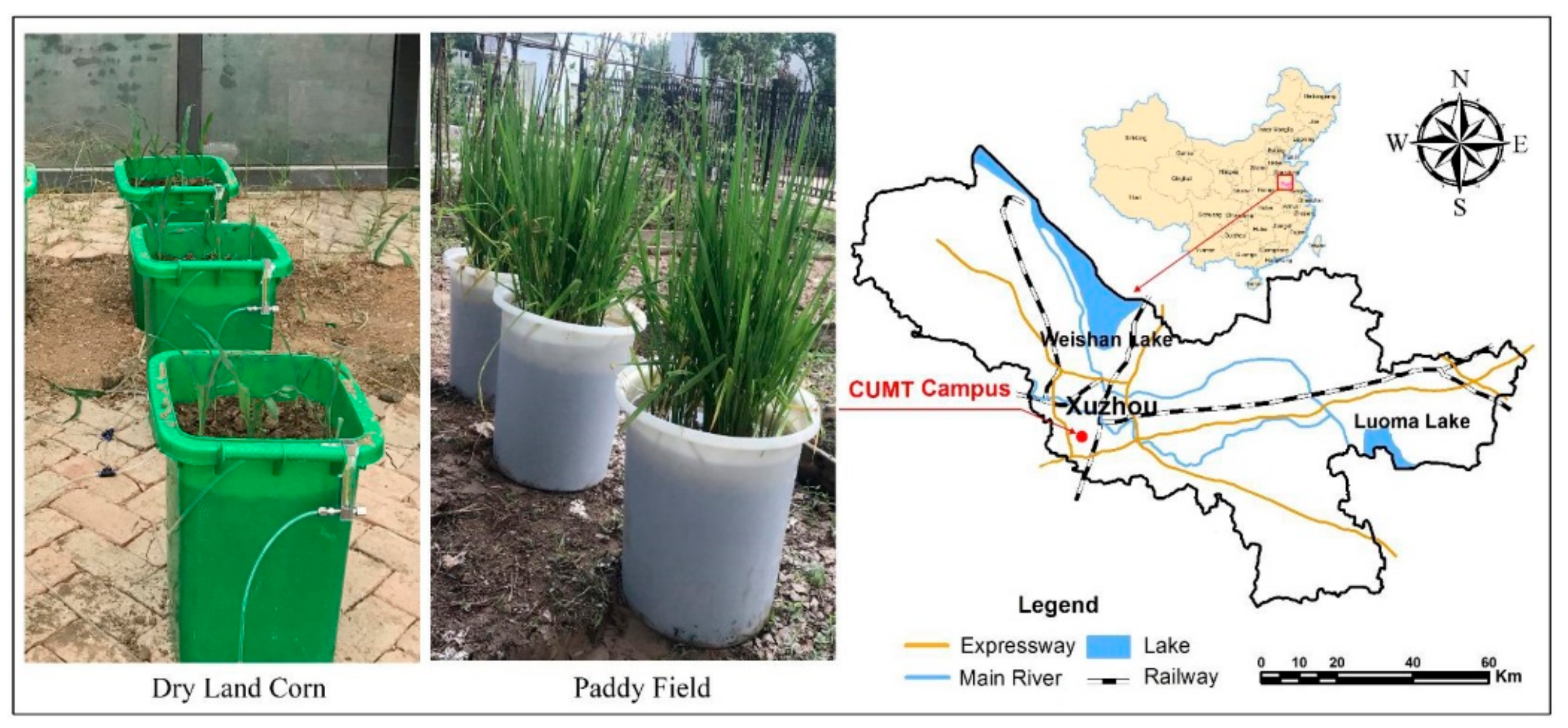 Agriculture 09 00216 g001