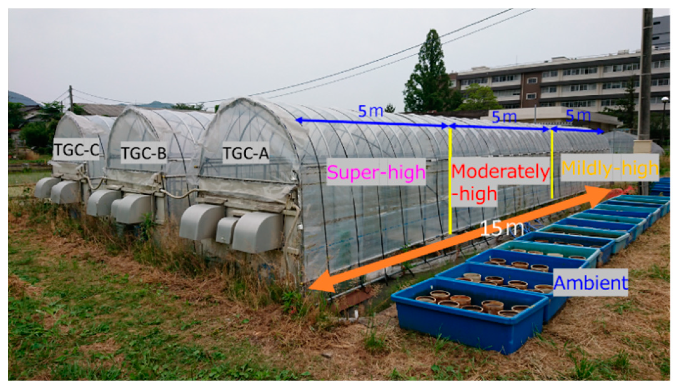 Agriculture 10 00289 g001 Agriculture 10 00289 g001