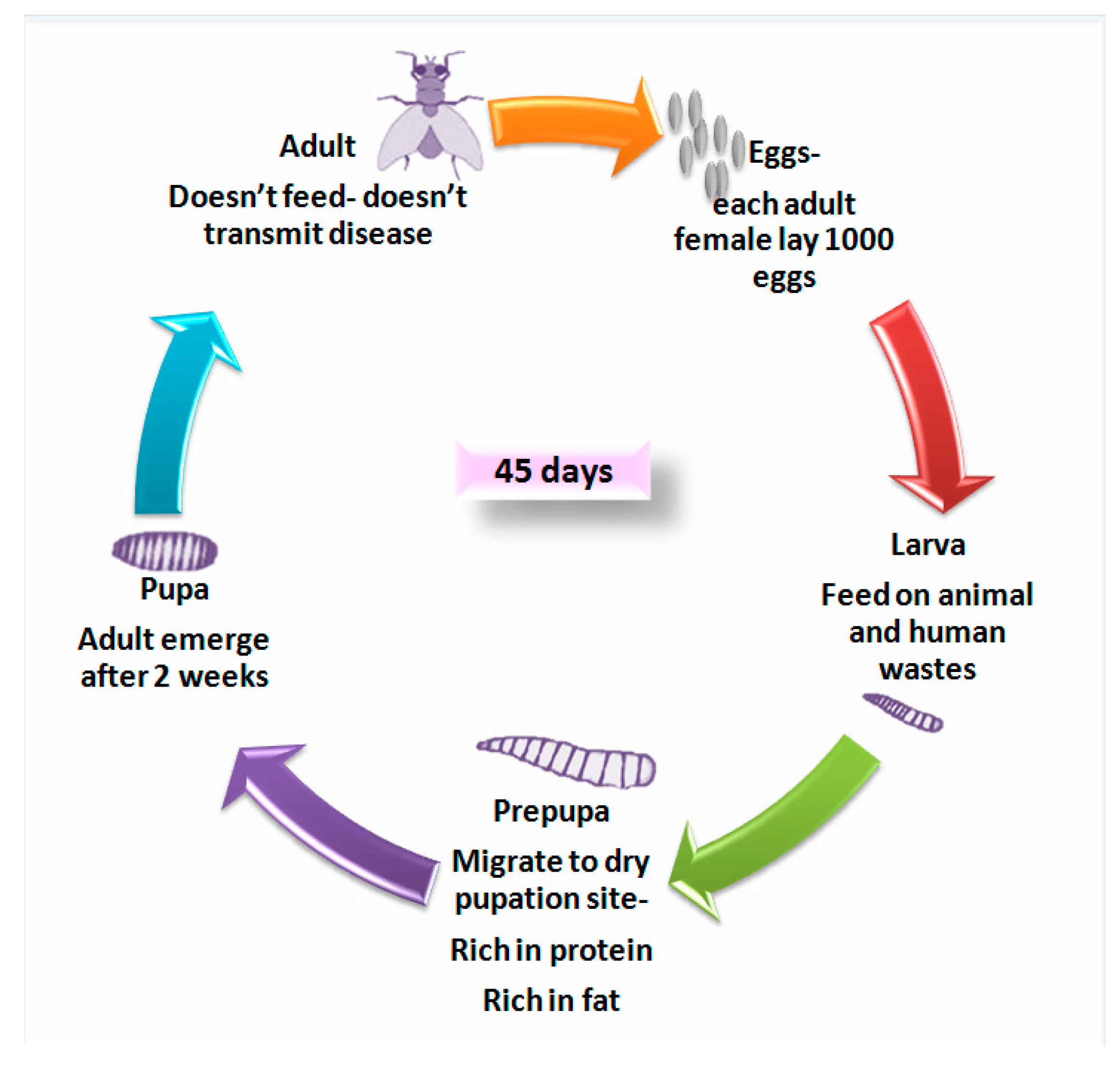 Agriculture 10 00339 g002 Agriculture 10 00339 g002