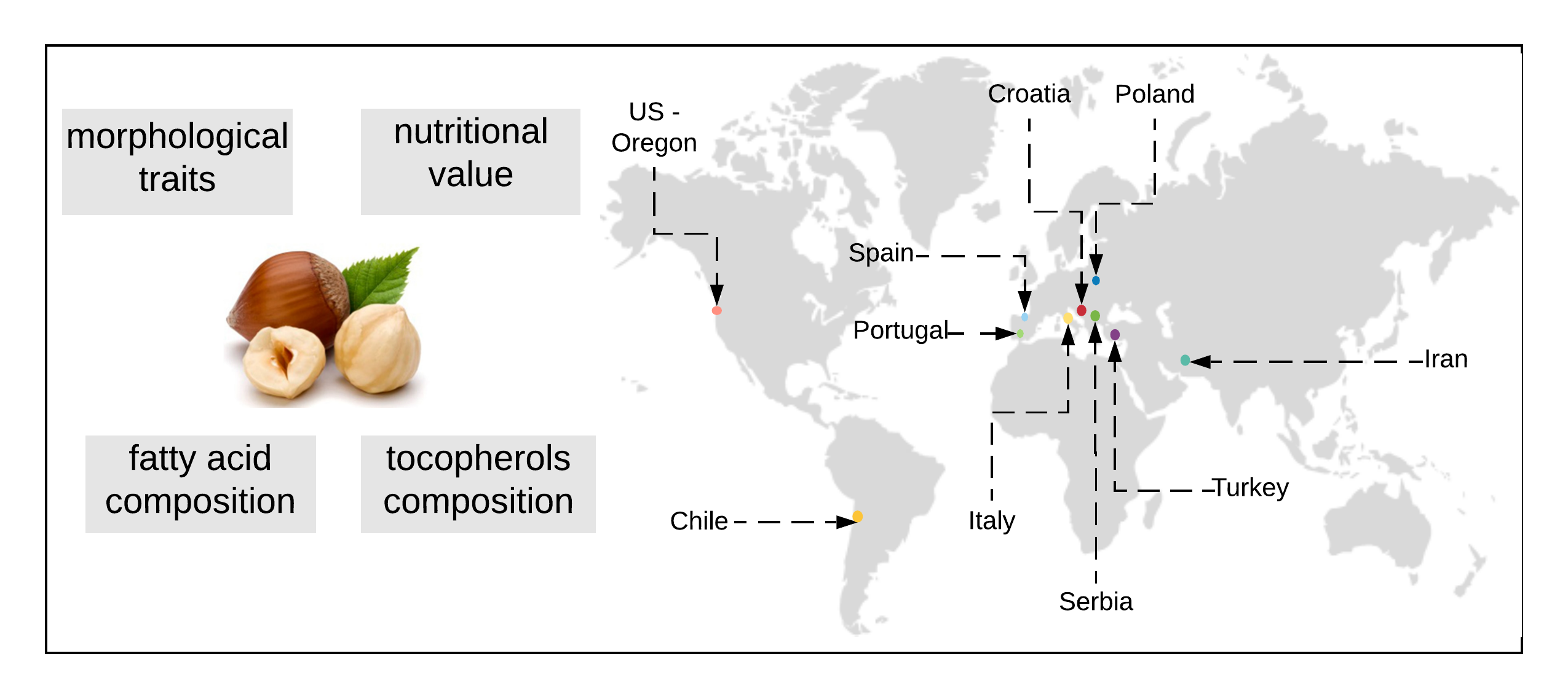 agriculture-free-full-text-morphological-traits-and-chemical