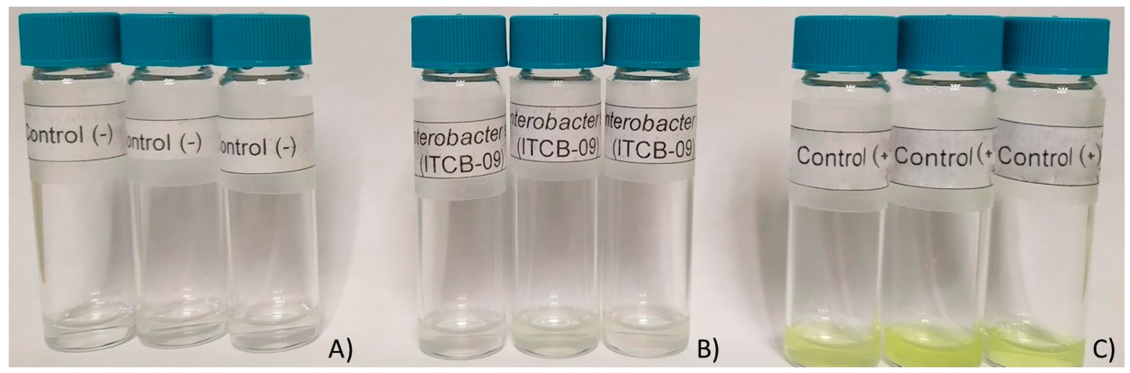 Agriculture 10 00383 g004