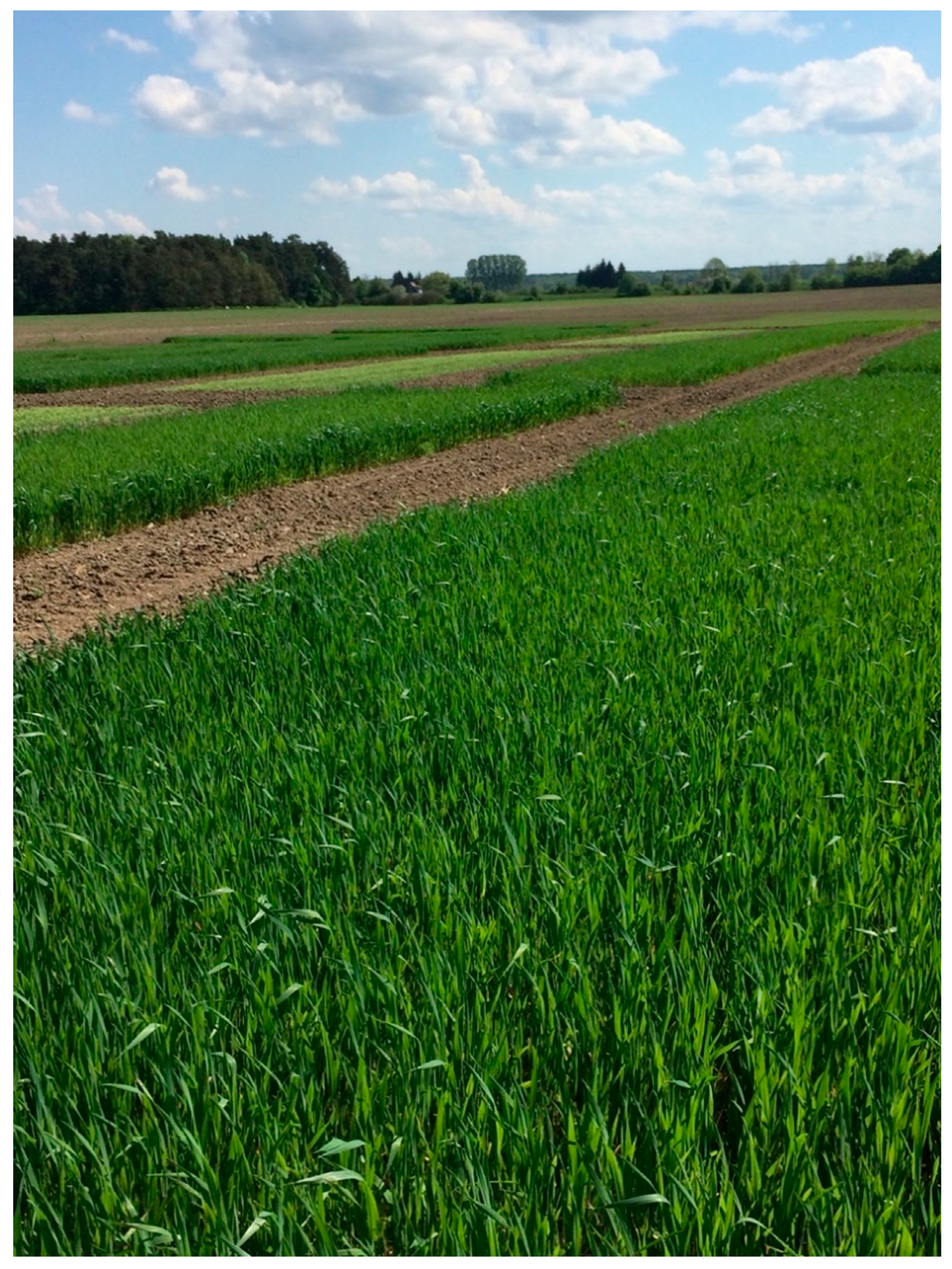 Agriculture 10 00405 g001