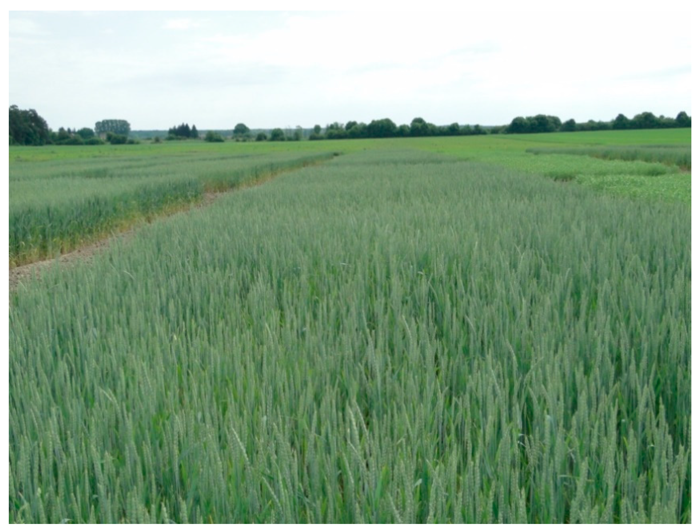 Agriculture 10 00405 g002