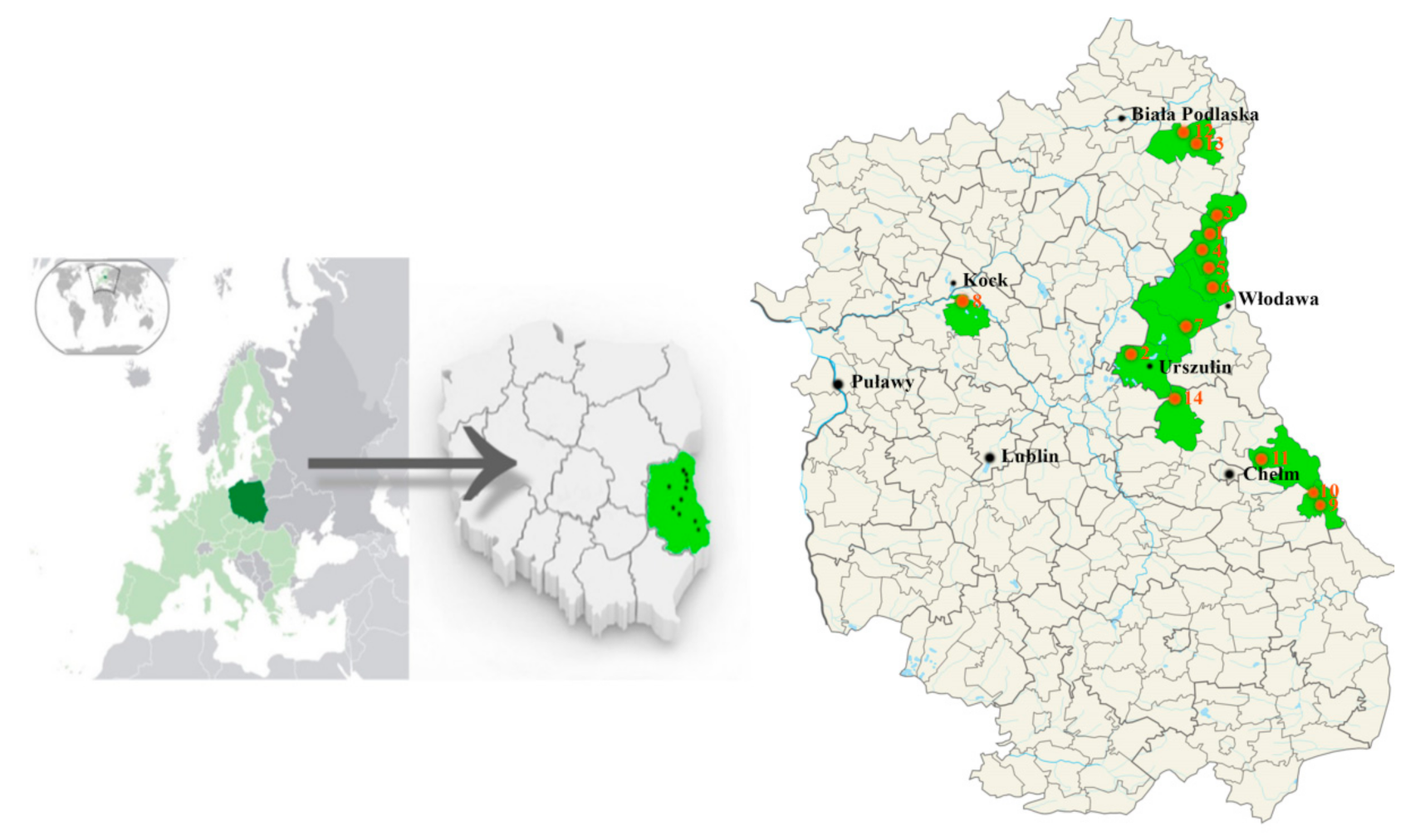 Agriculture 10 00413 g001