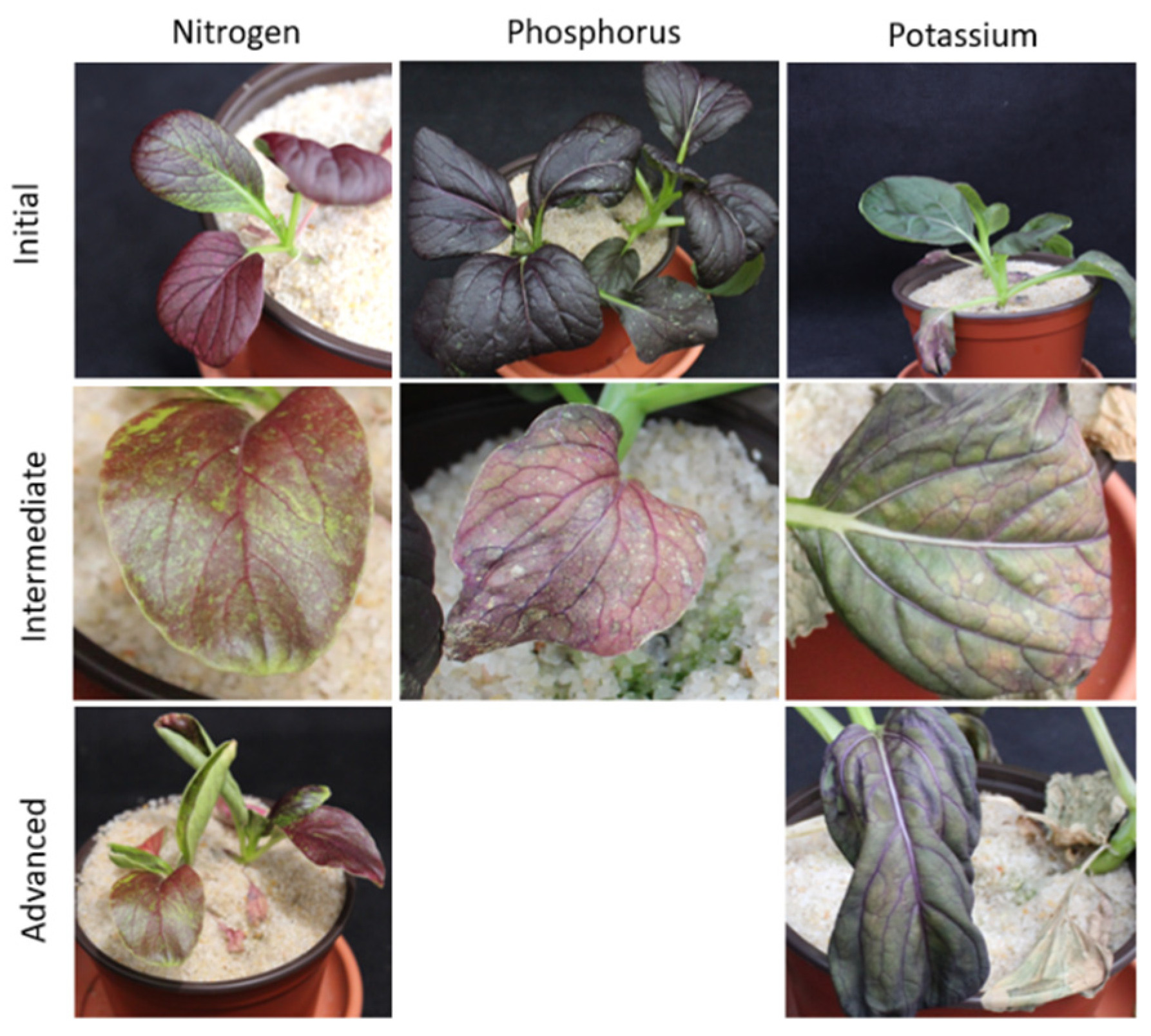 Agriculture 10 00461 g002