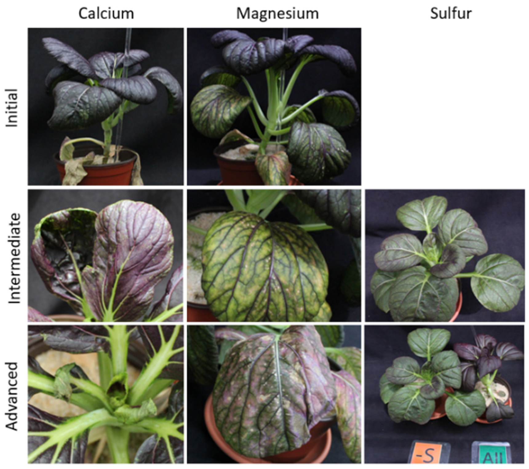 Agriculture 10 00461 g004