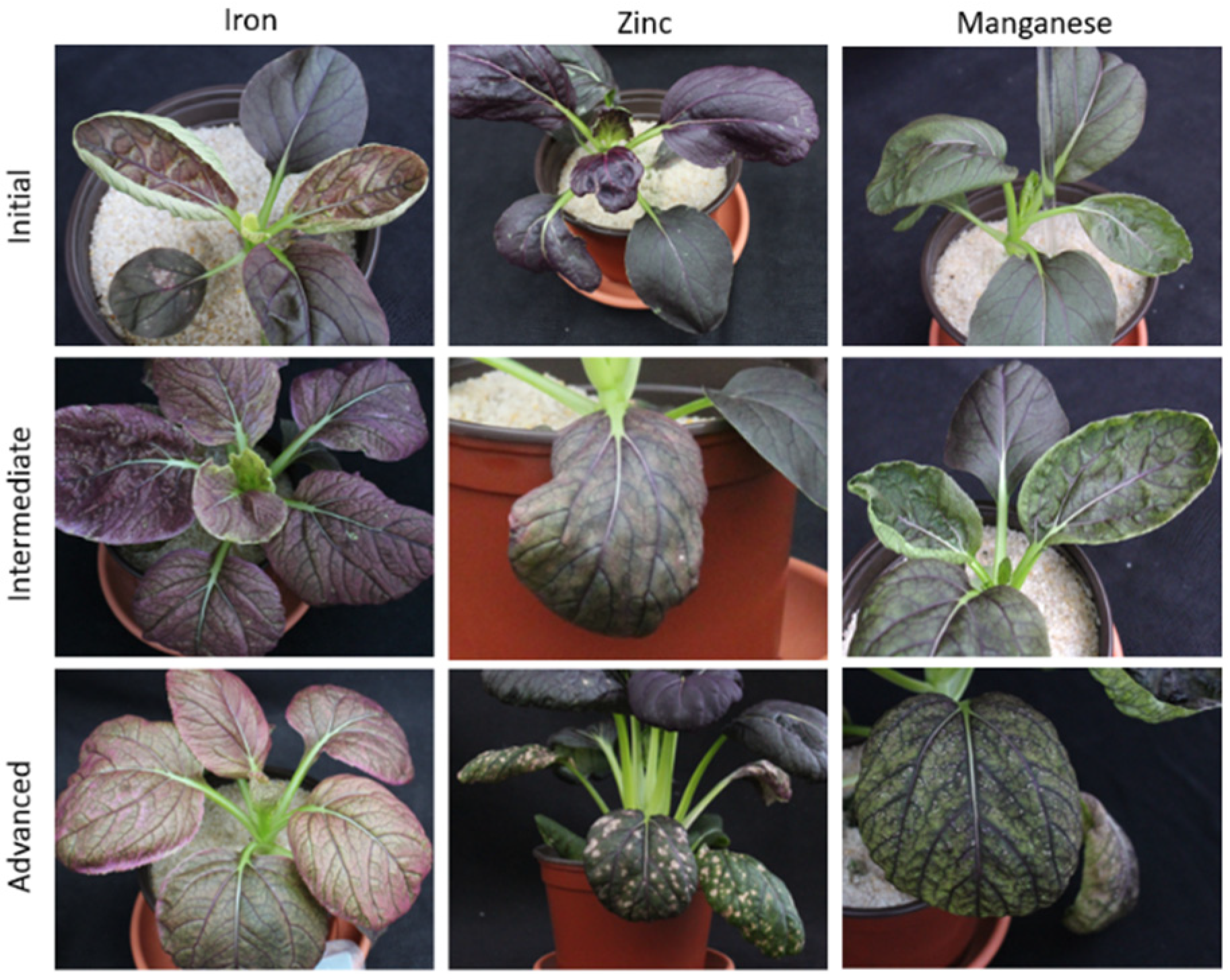 Agriculture 10 00461 g006