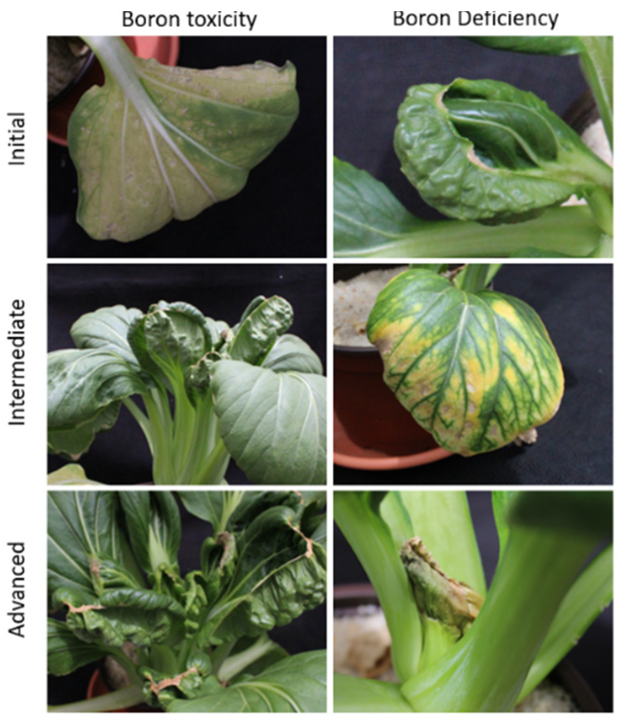 Agriculture 10 00461 g007