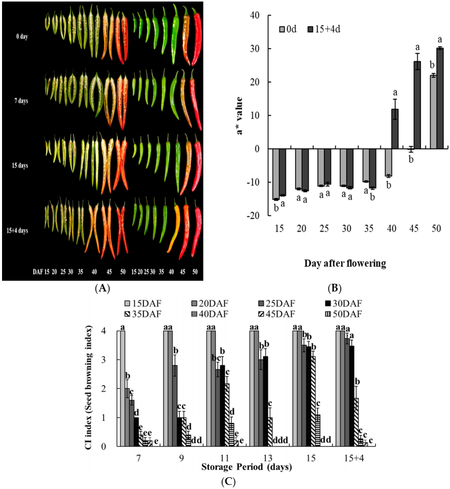 Agriculture 10 00585 g001