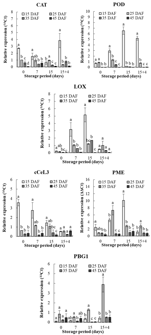 Agriculture 10 00585 g002
