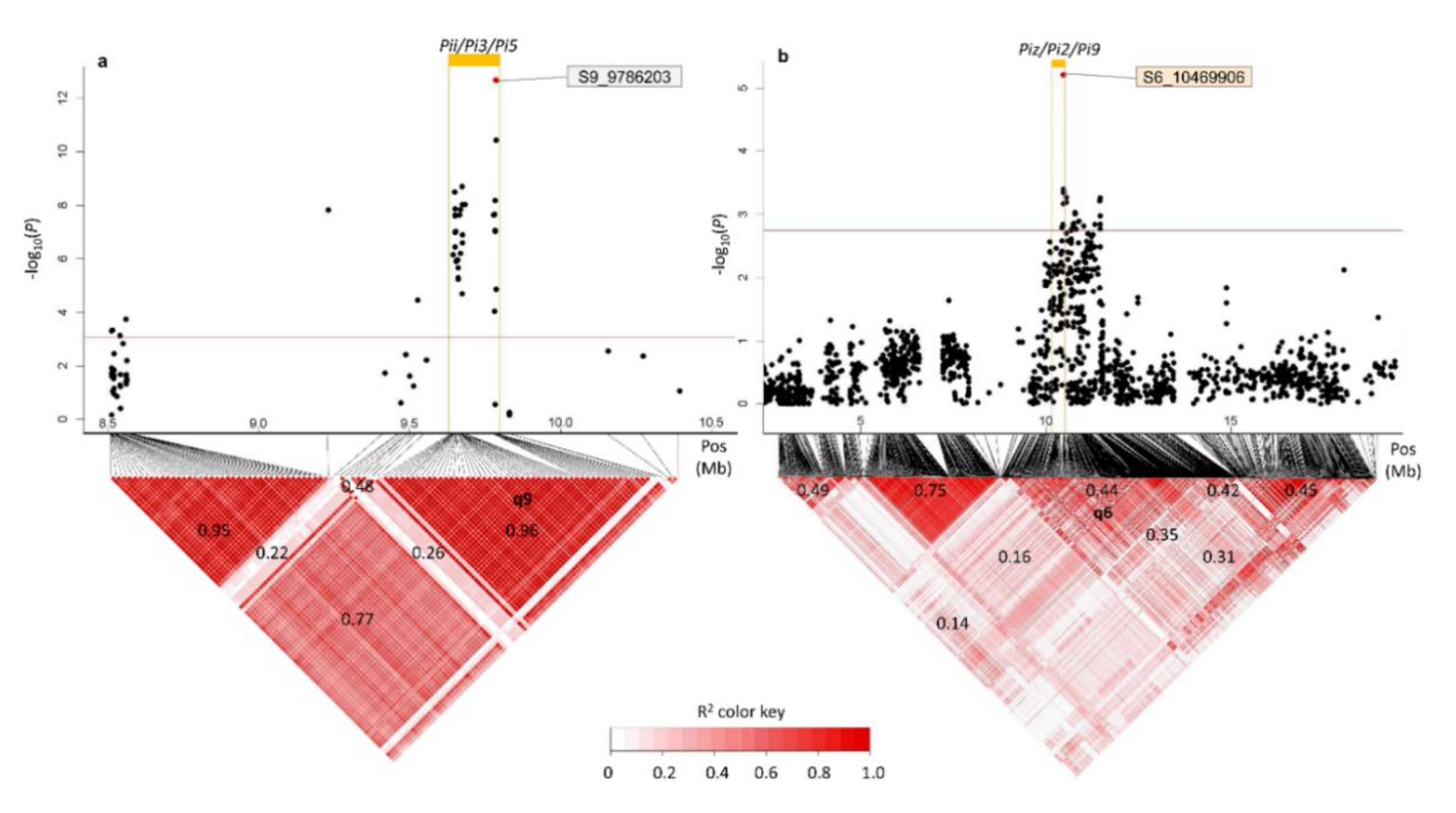 Agriculture 10 00622 g004
