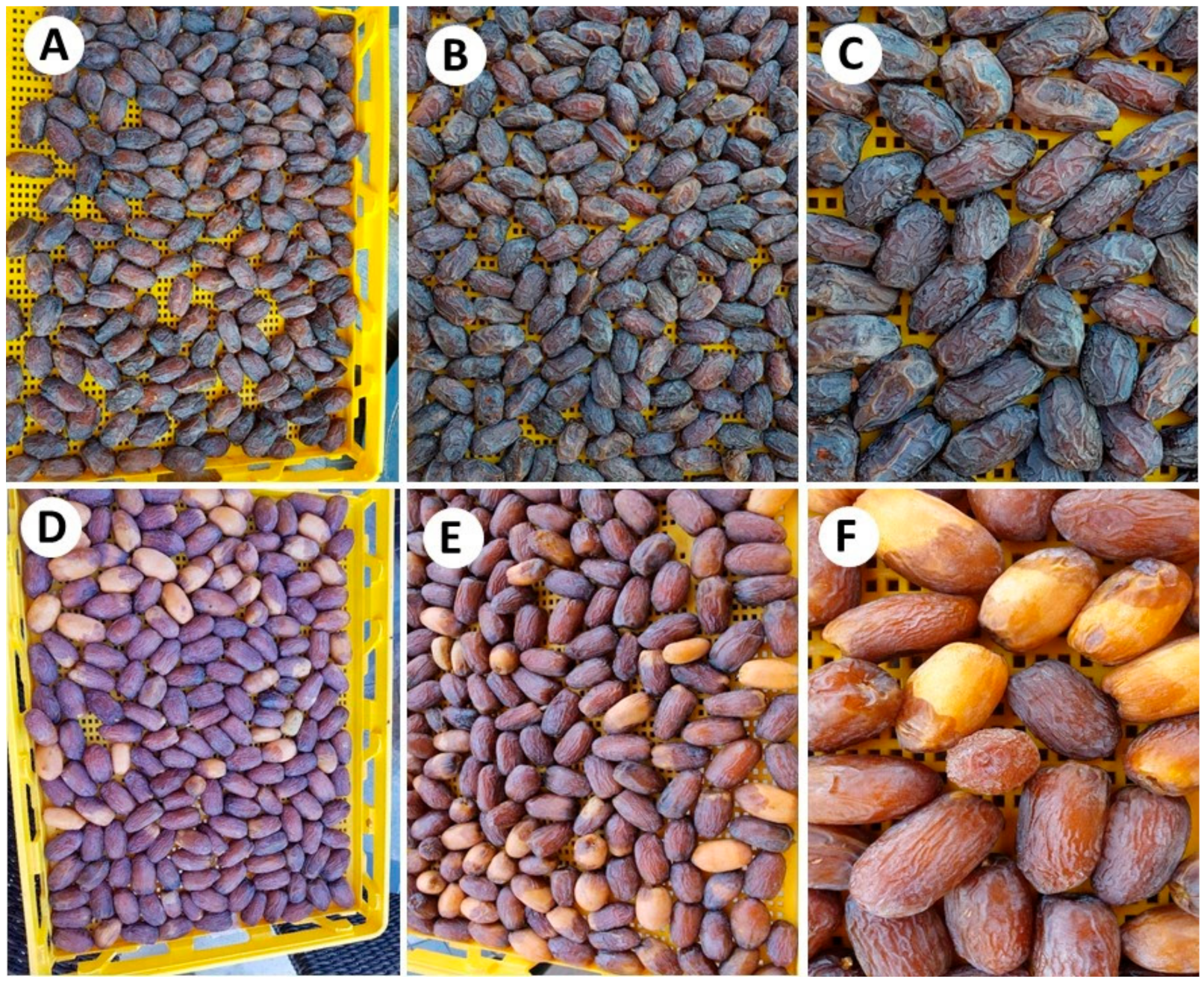 Agriculture 11 00115 g001 Agriculture 11 00115 g001