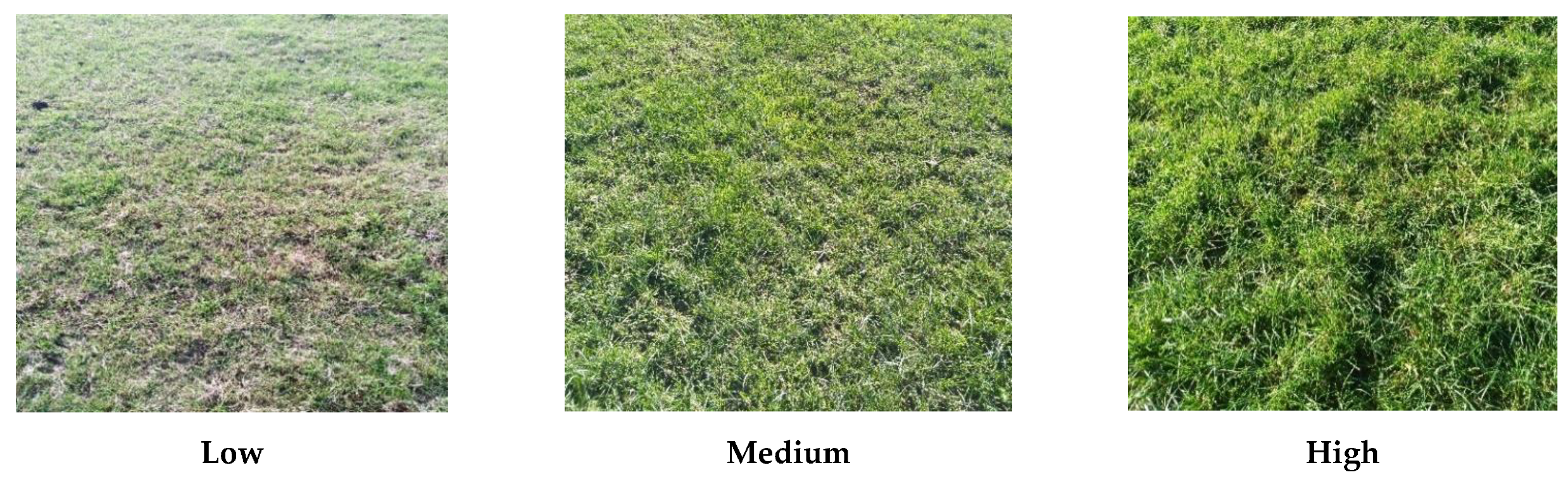 Agriculture 11 00150 g002