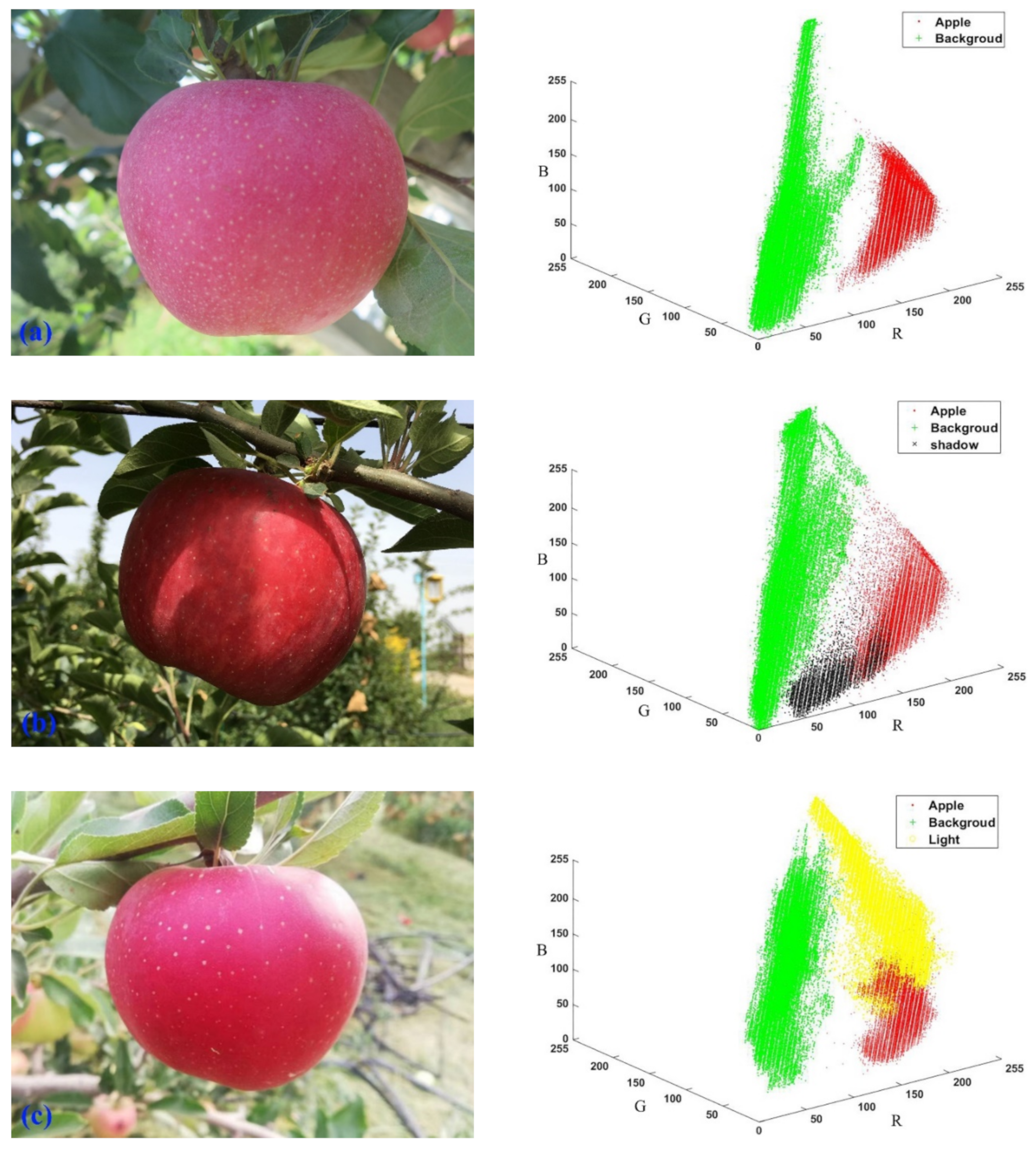 fruit detection matlab source code free download