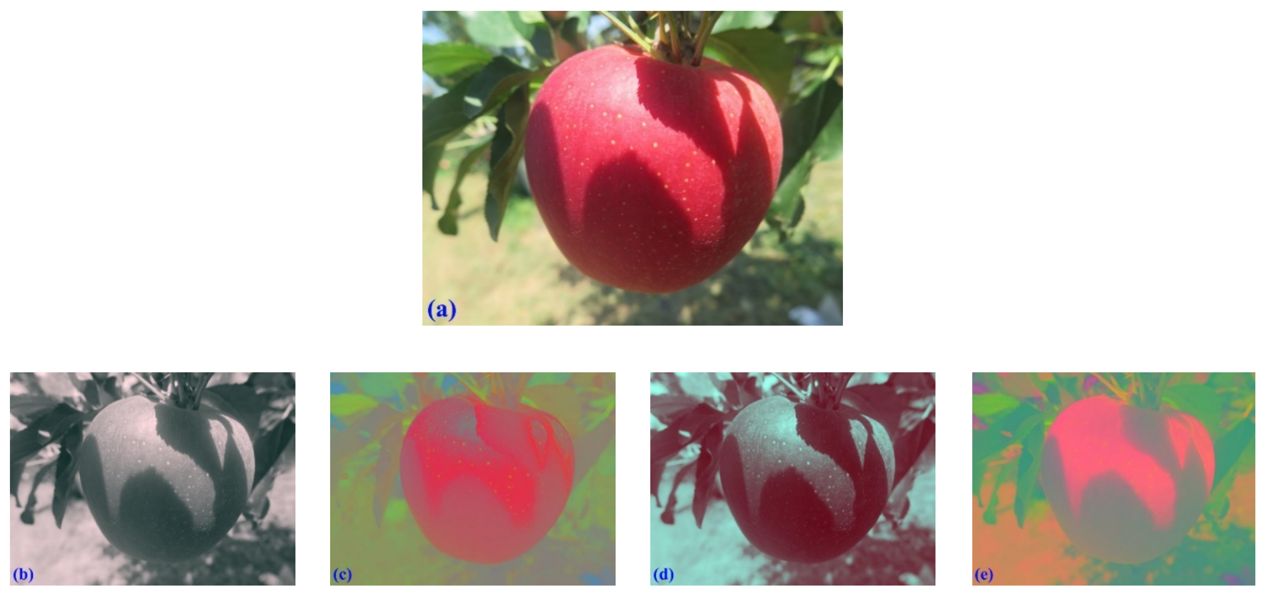 fruit detection matlab source code free download