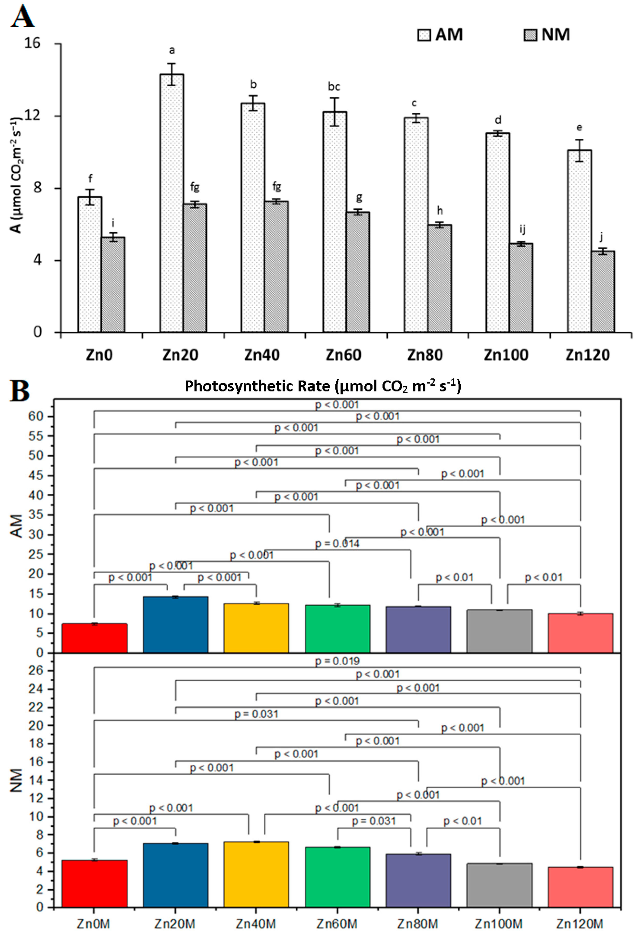 Agriculture Growth Stages Of Maize Biology Stack Exchange