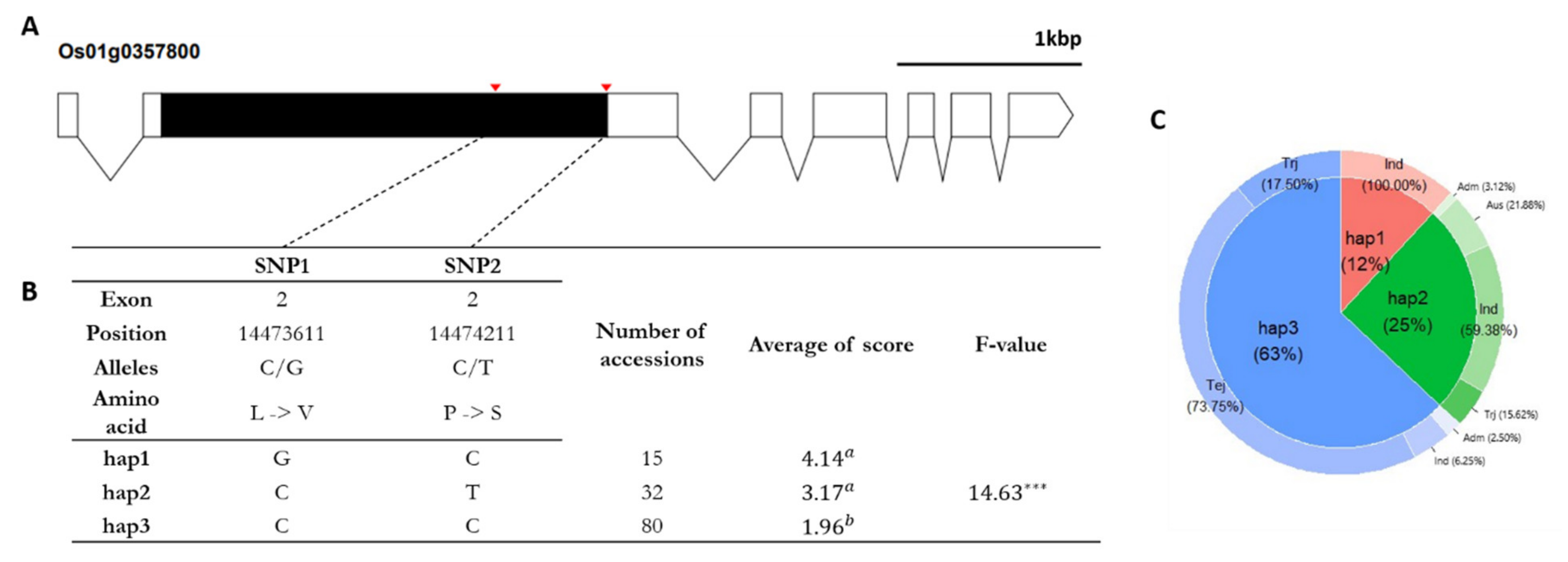 Agriculture 11 00318 g005 Agriculture 11 00318 g005