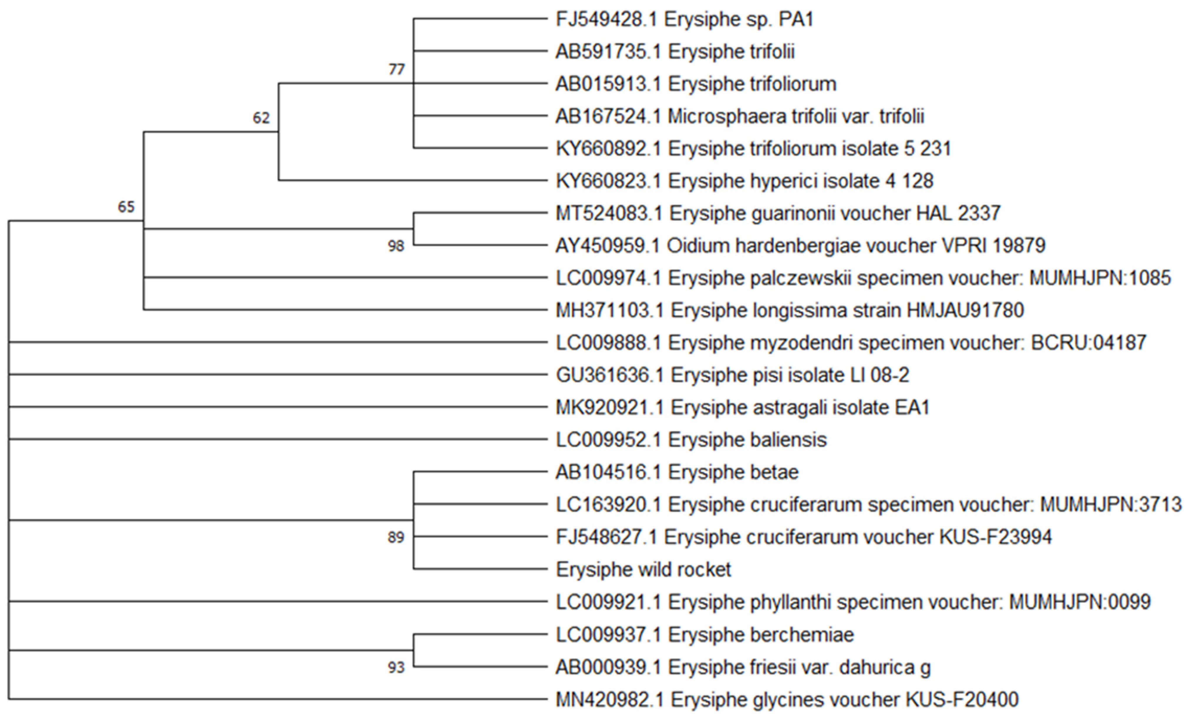 Agriculture 11 00337 g005 Agriculture 11 00337 g005